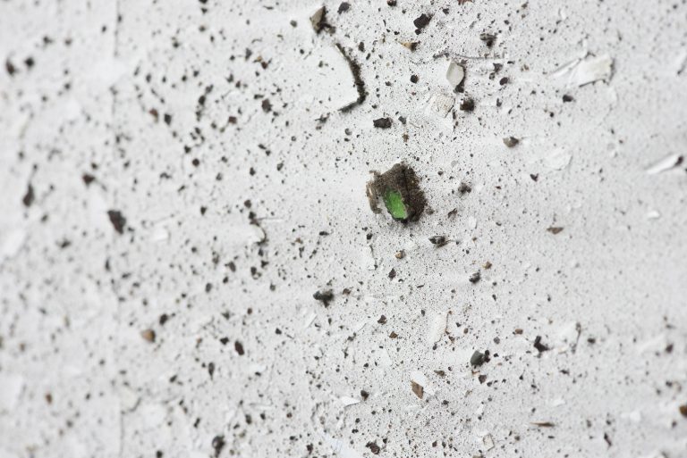 Ageless, ageless at shimmer, rotterdam 12