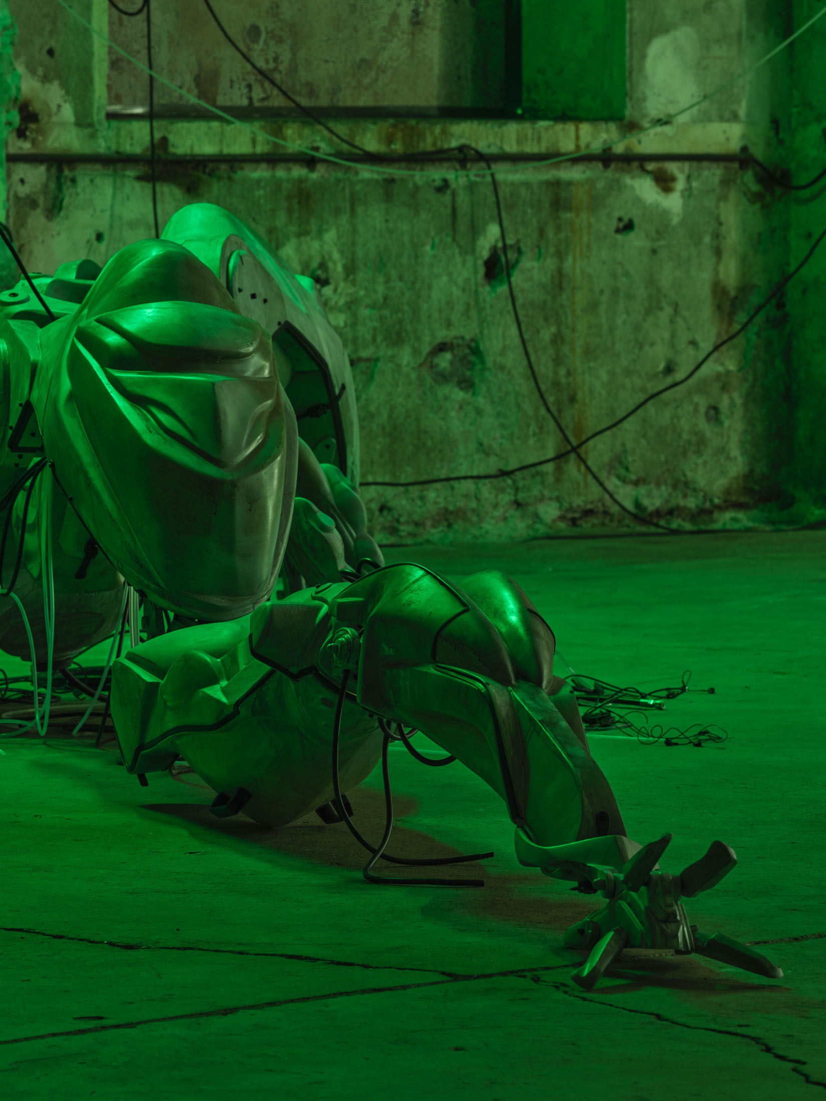 Davide Allieri at Kunstraum Dornbirn