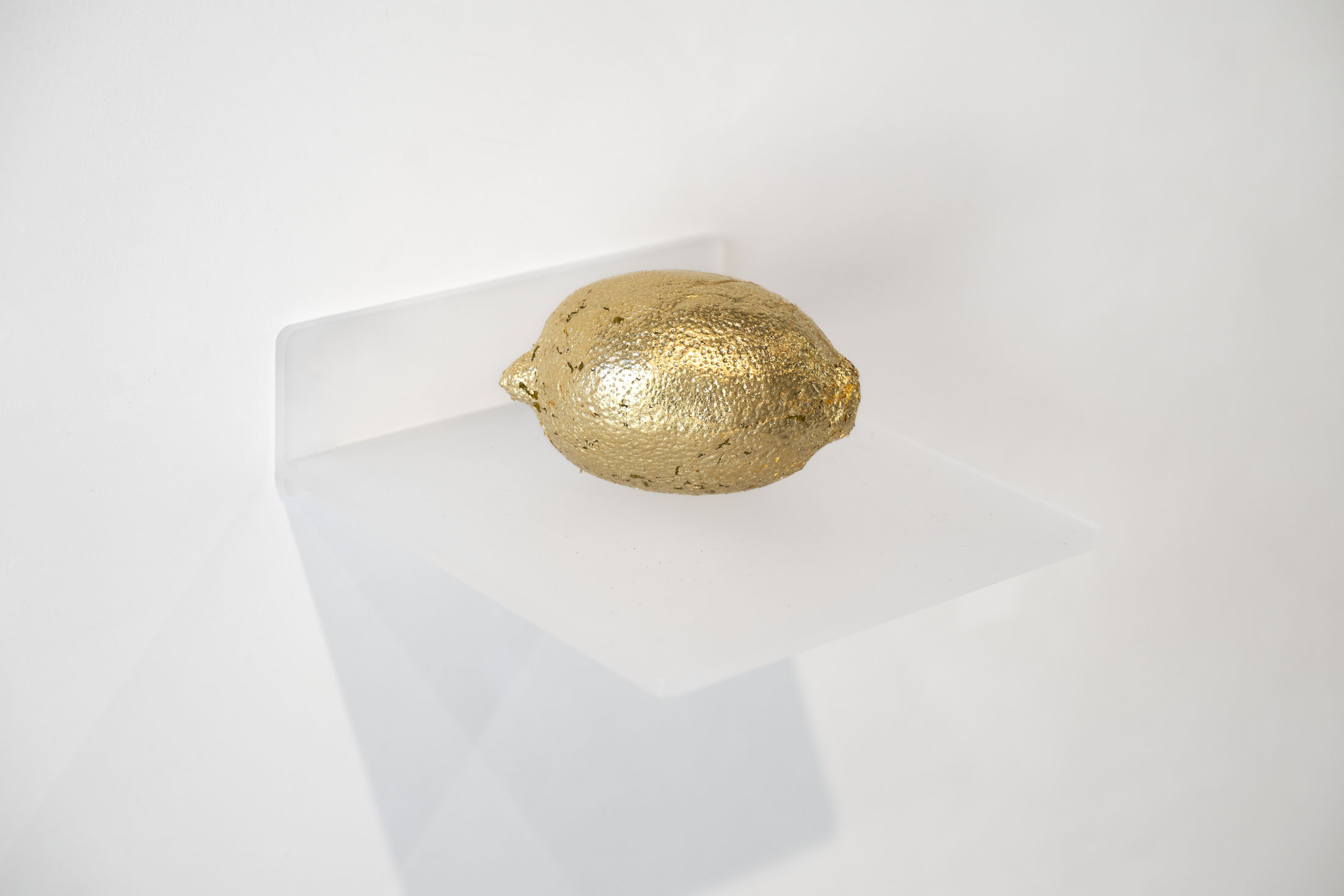 Krassimir terziev at sarieva, plovidv 21