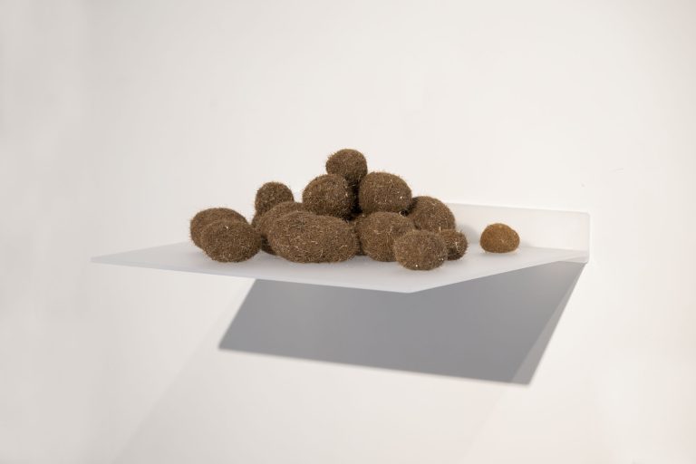 Krassimir terziev at sarieva, plovidv 9