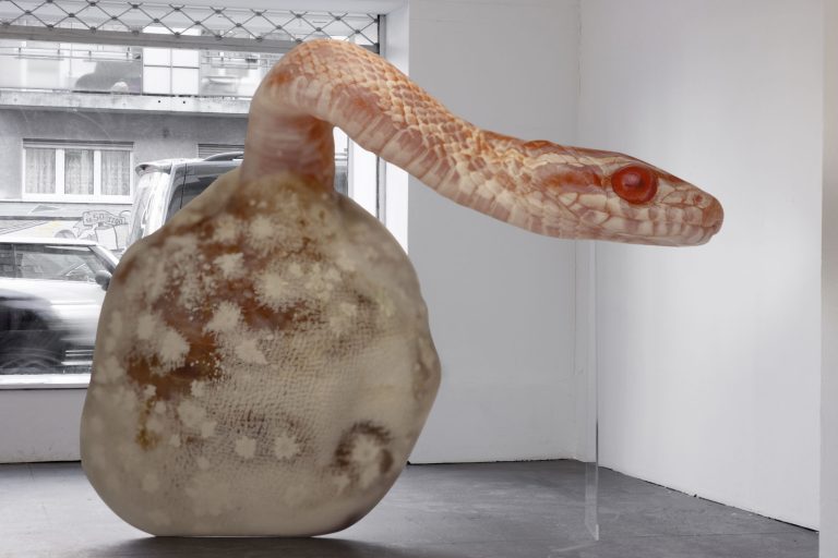 Living Errors at MARTINETZ, Cologne