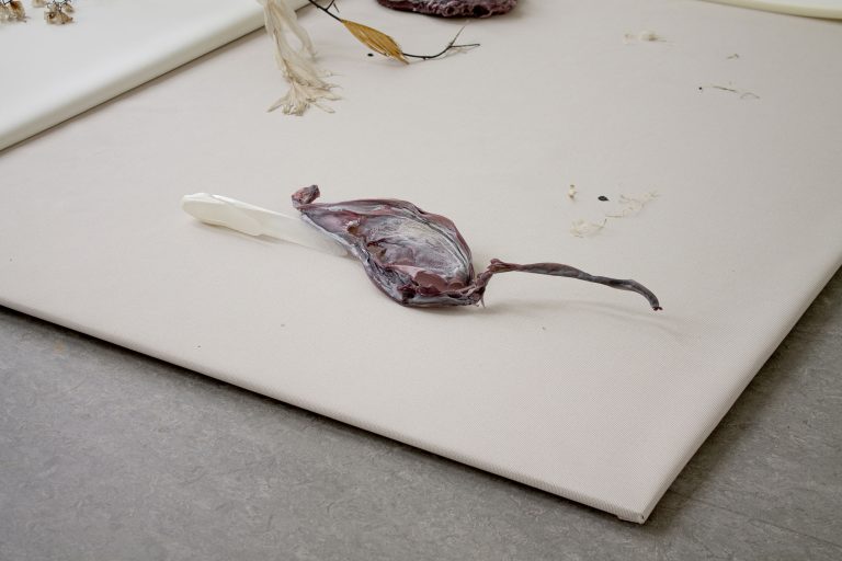 Luca vanello at z33, hasselt 16