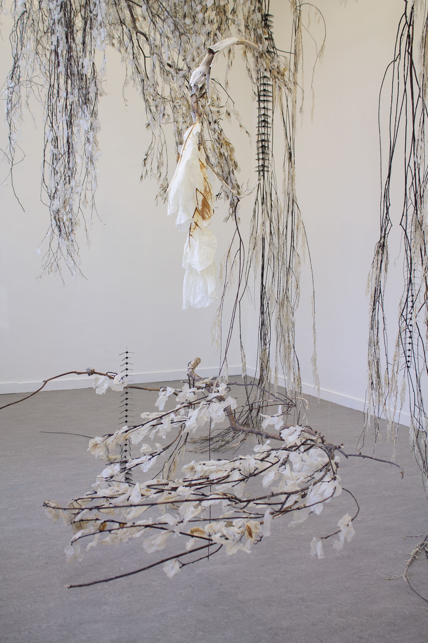 Luca vanello at z33, hasselt 22