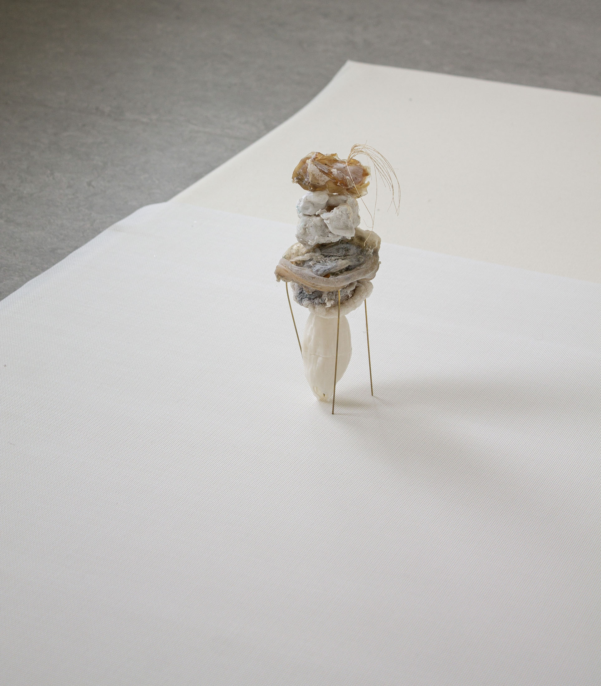 Luca vanello at z33, hasselt 8