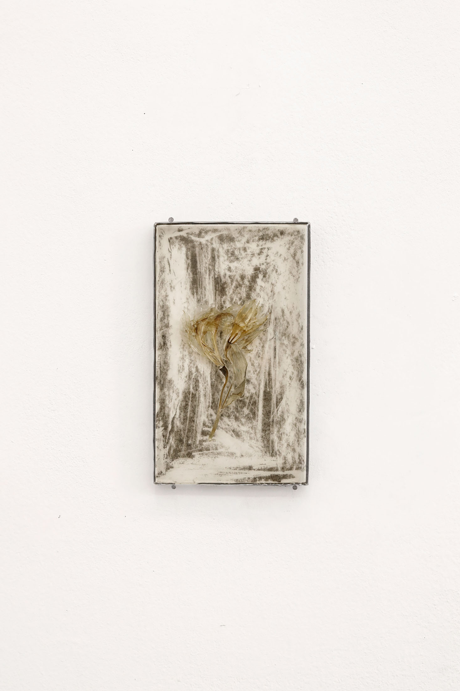 Nestan abdushelishvili at bukia vakhania, tbilisi 13