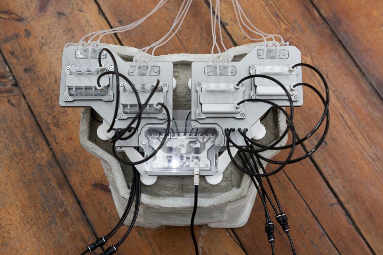 Salvador Marino at ACUD Galerie, Berlin