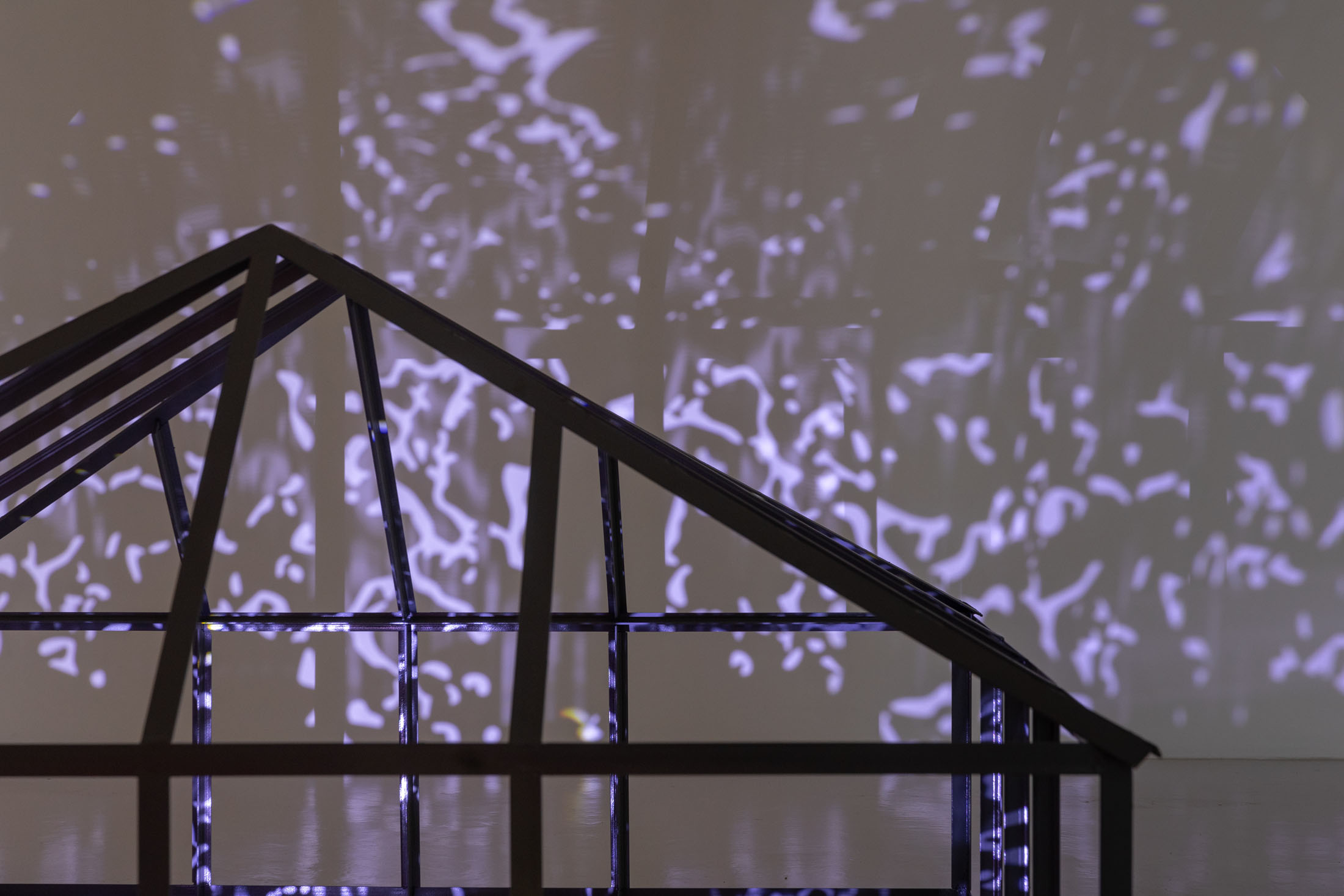 Vertigo (disambiguation) at galería gato, lima 2