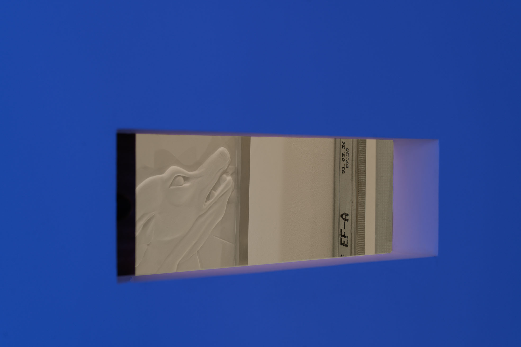 Kara Chin and Romain Sarrot at Hatch Gallery, Paris