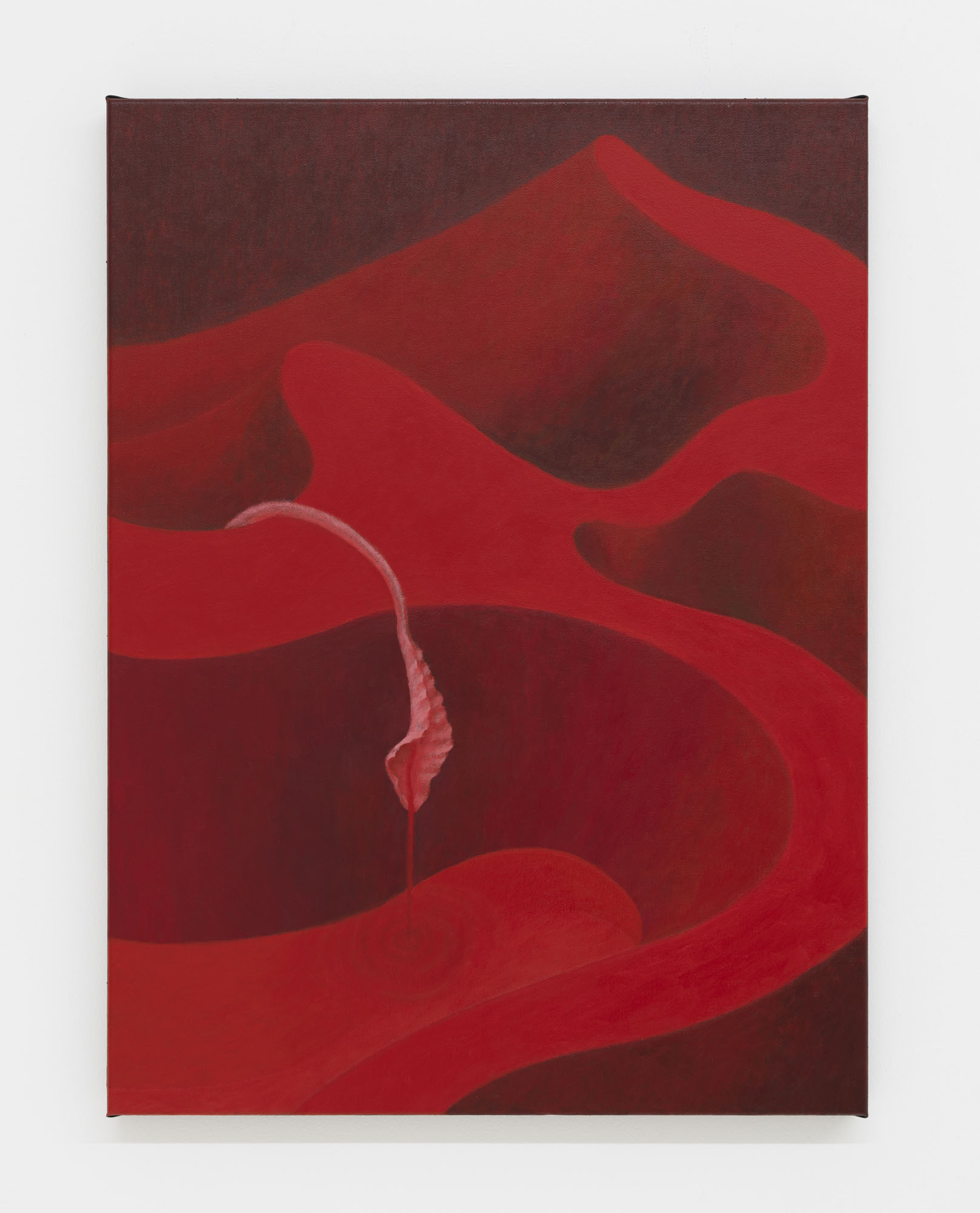 Mevlana Lipp at Capsule Shanghai artwork