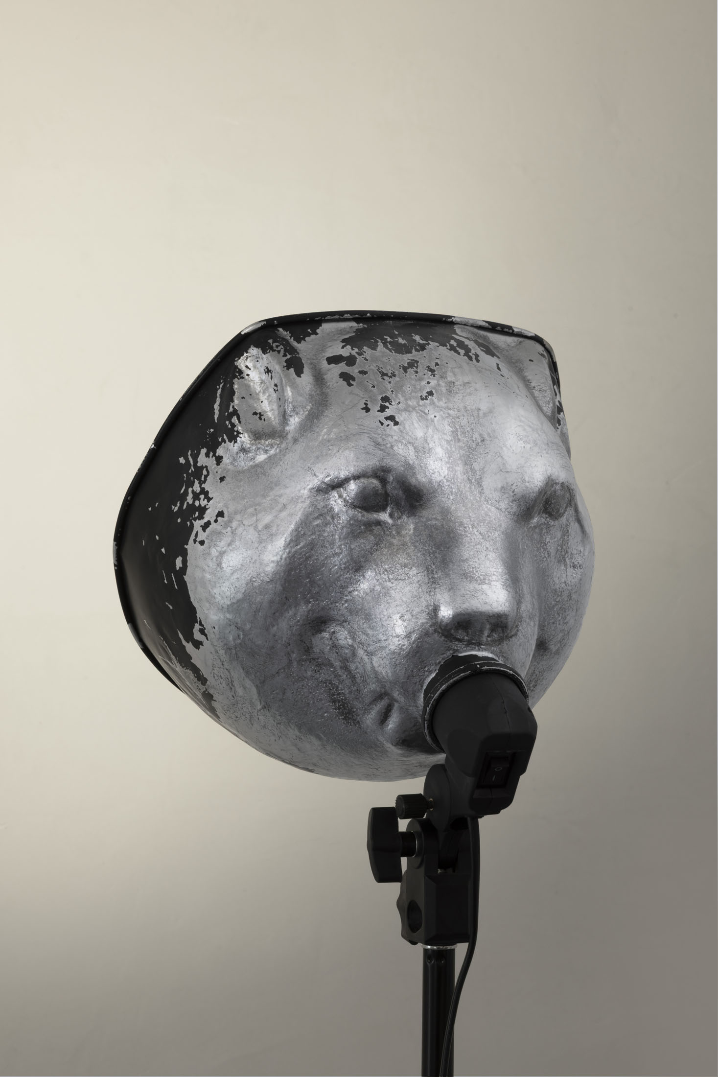 Tian Jianxin at Capsule, Beijing artwork