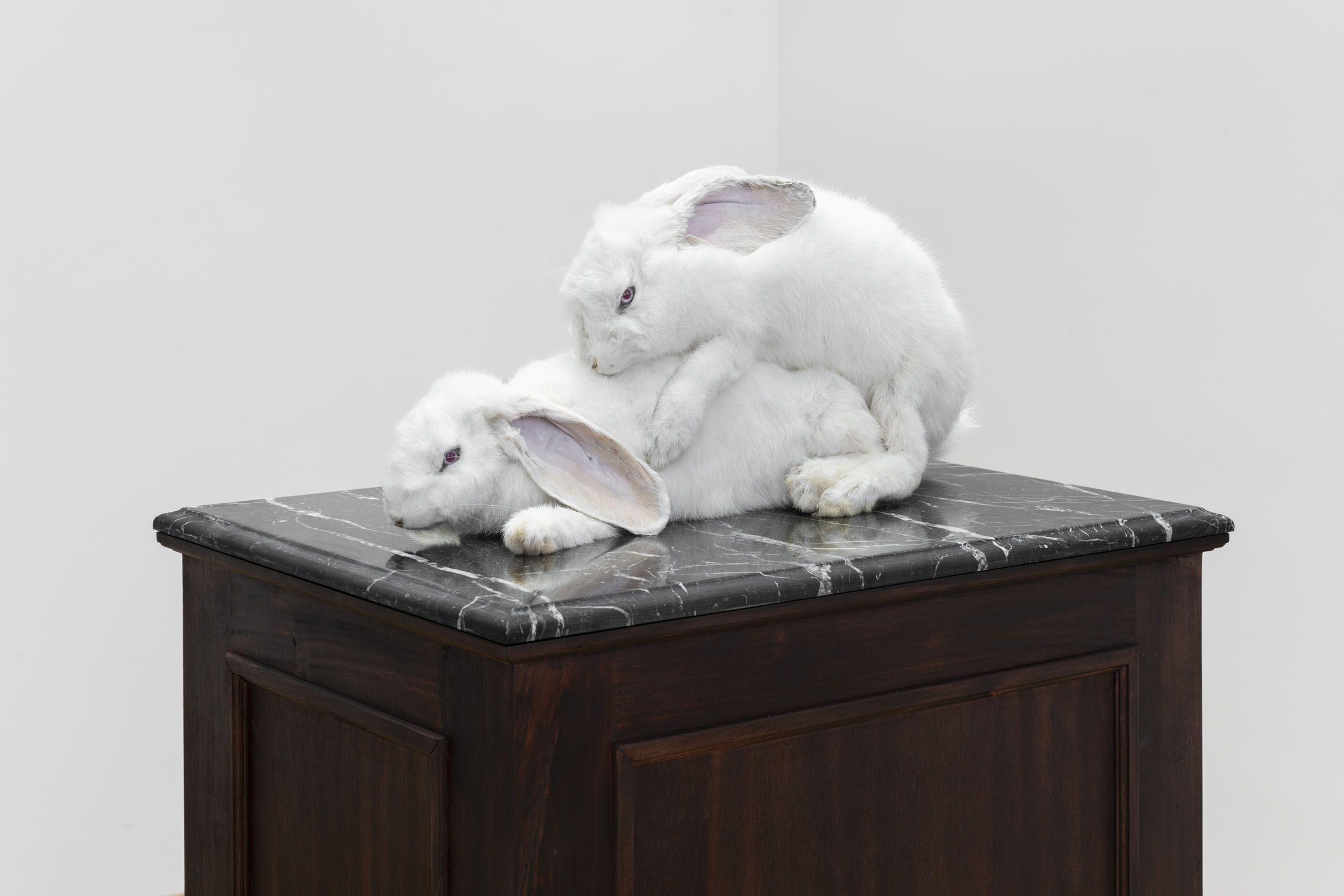 Tudor Ciurescu at VUNU Gallery, Vienna