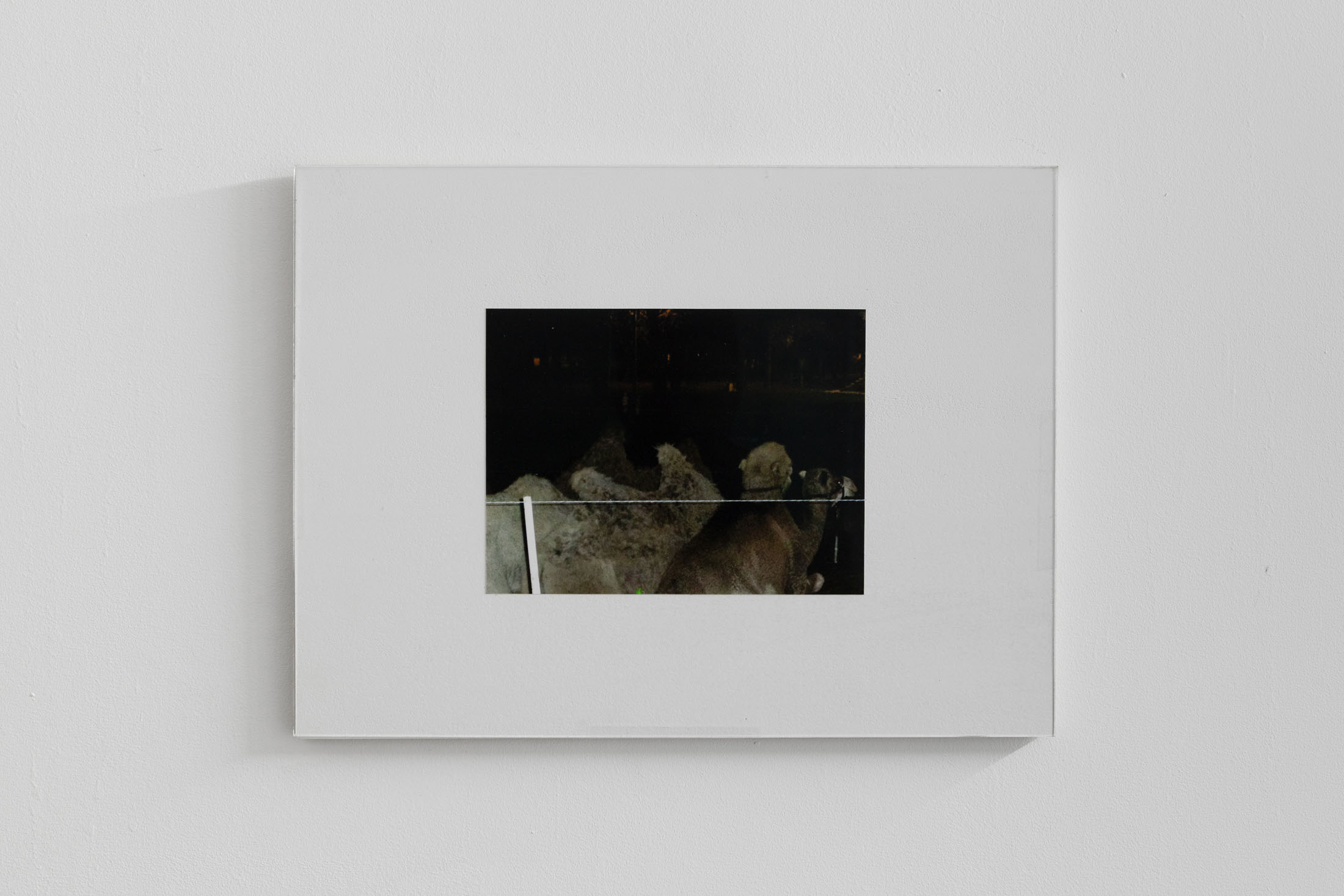 A Certain Distance at Café des Glaces, Tonnerre