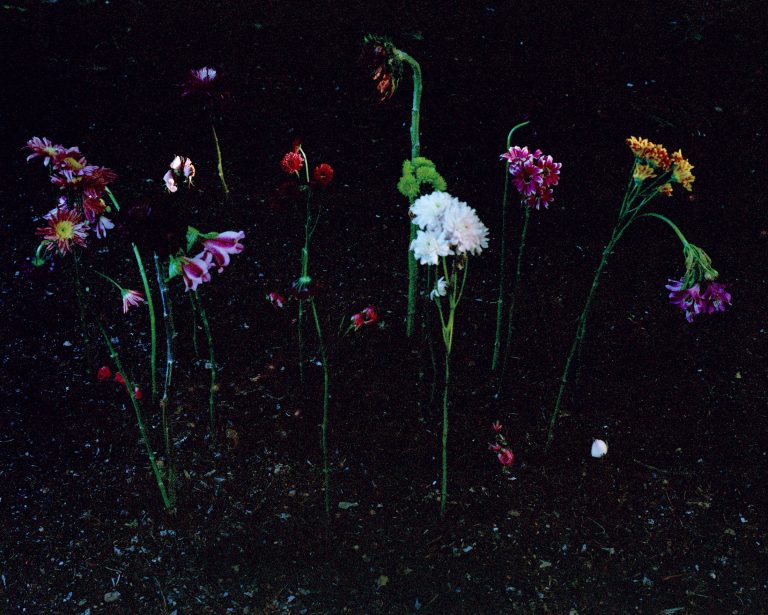 Andrés Barón at DS Galerie, Paris