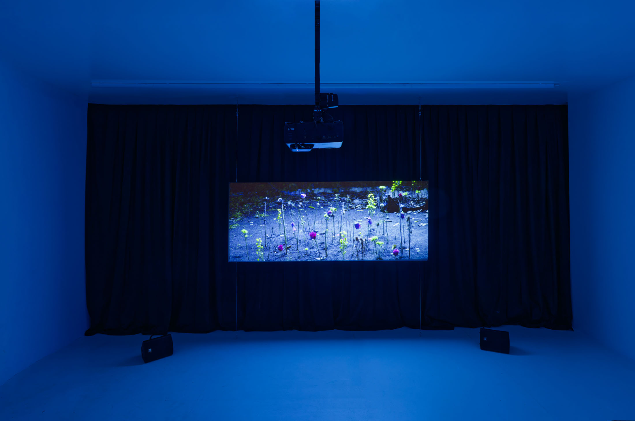 Andrés Barón at DS Galerie, Paris
