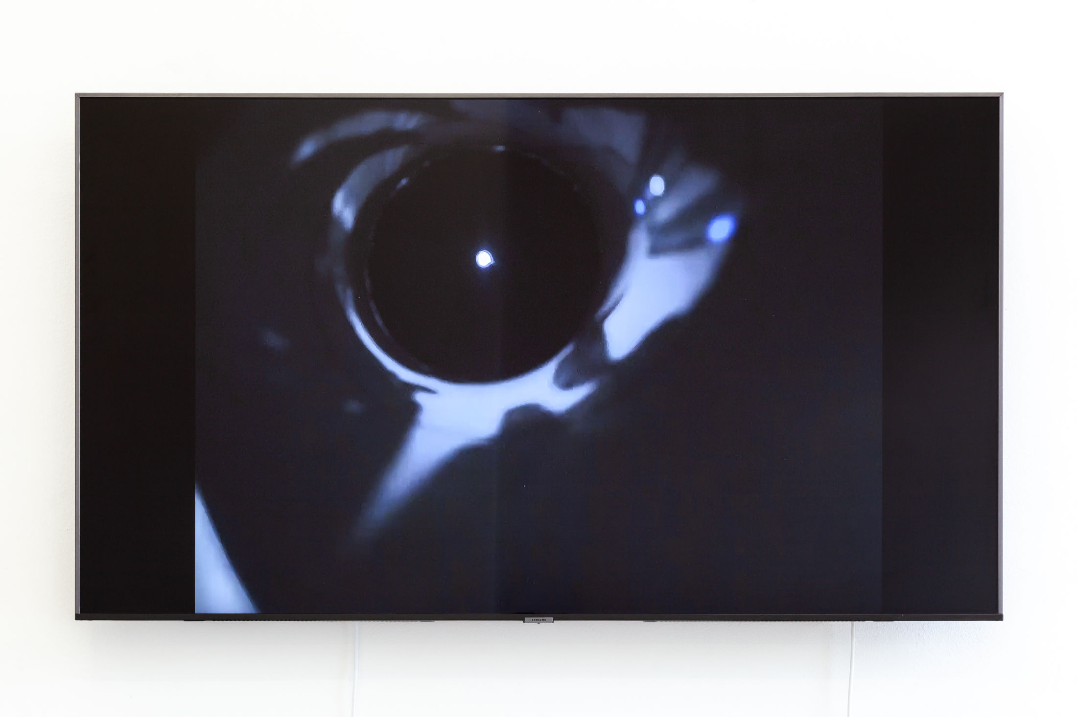 Asta Lynge at Kunstverein Kevin, Vienna