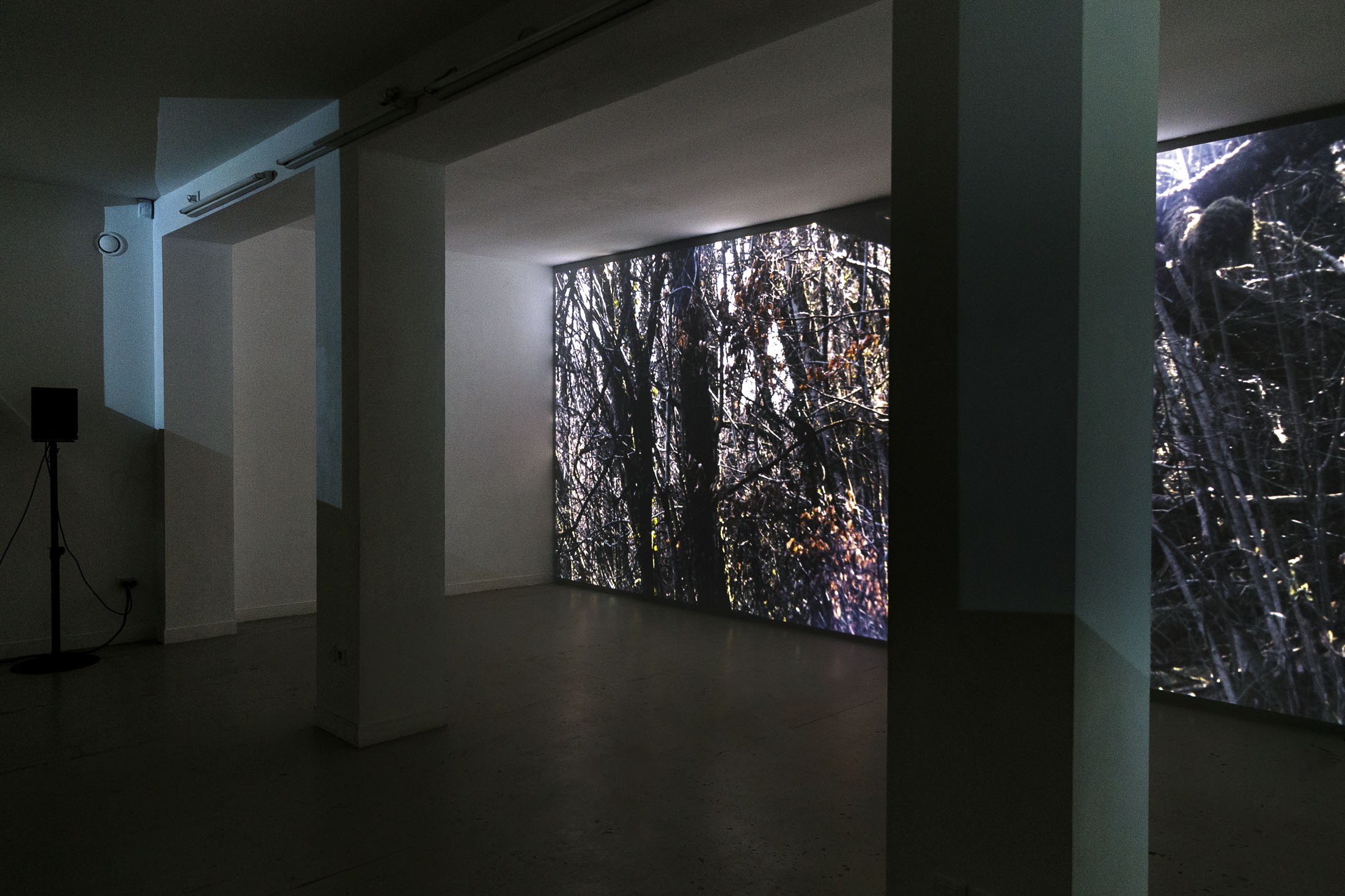 David Thorpe at Les Bains Douches, Alençon