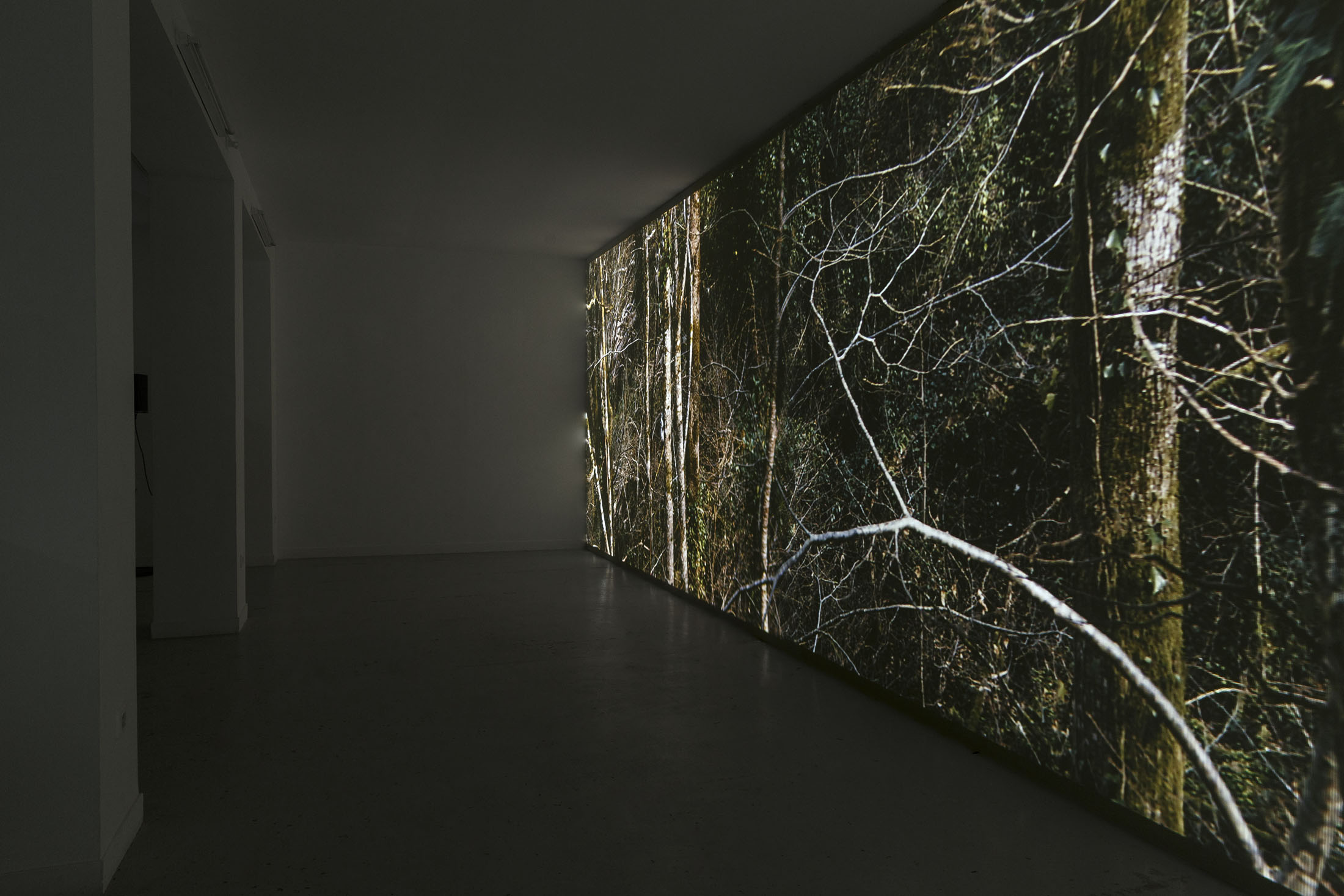 David Thorpe at Les Bains Douches, Alençon