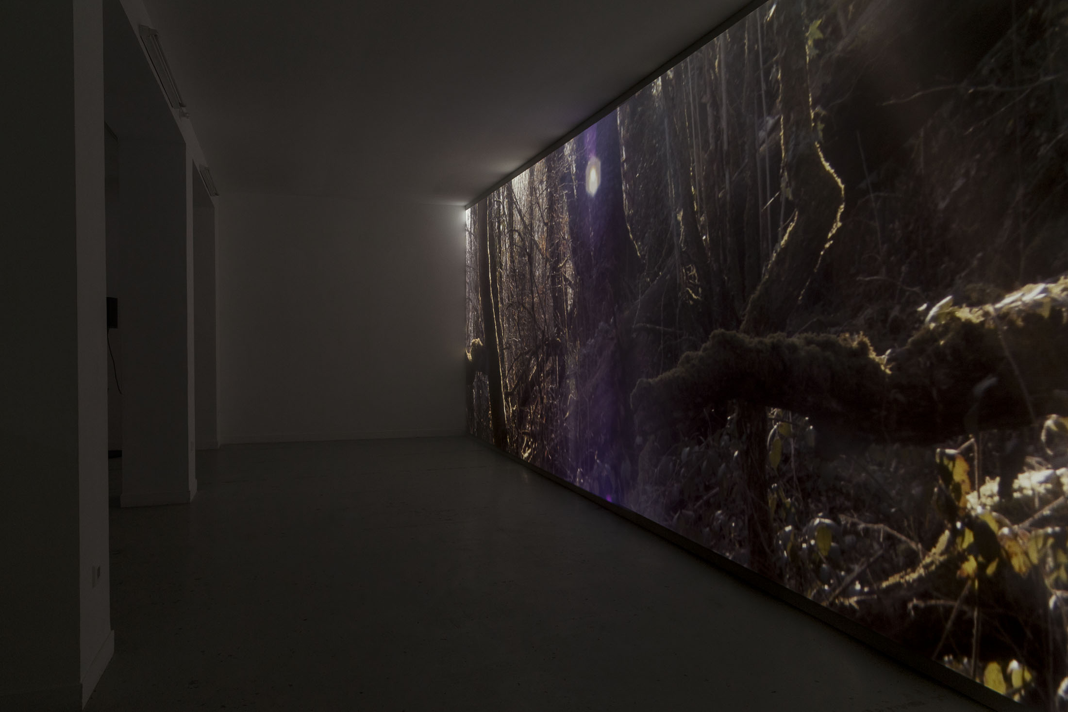 David Thorpe at Les Bains Douches, Alençon