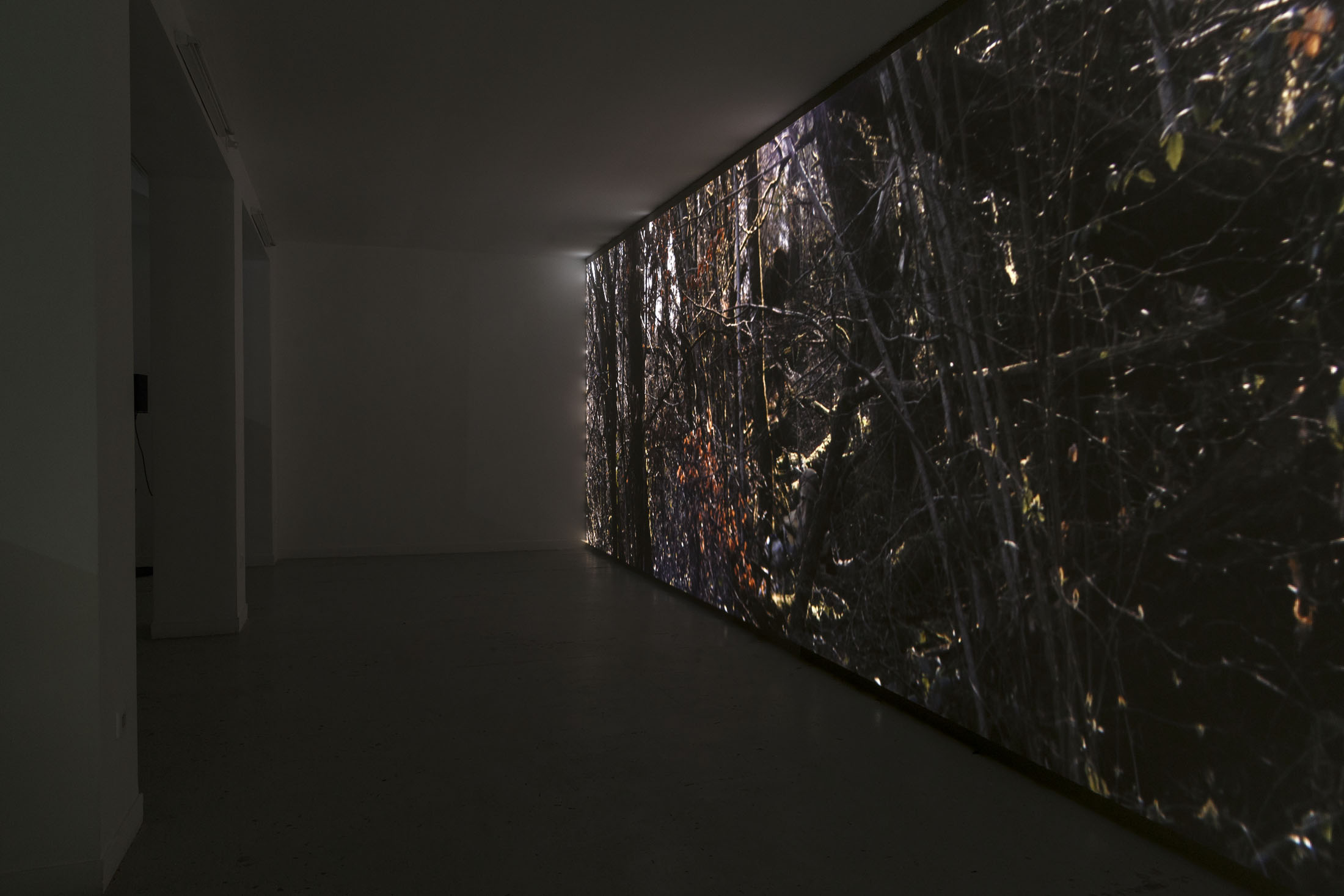 David Thorpe at Les Bains Douches, Alençon
