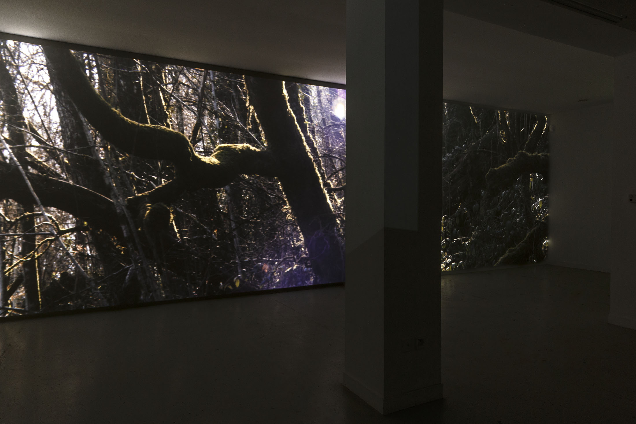 David Thorpe at Les Bains Douches, Alençon