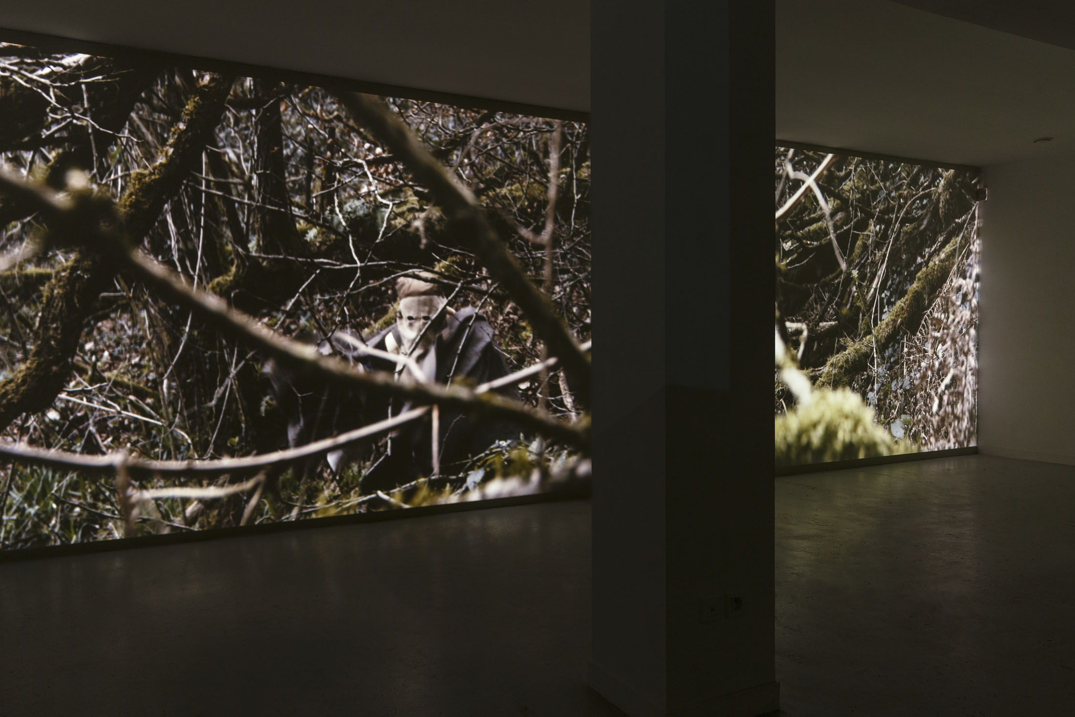David Thorpe at Les Bains Douches, Alençon