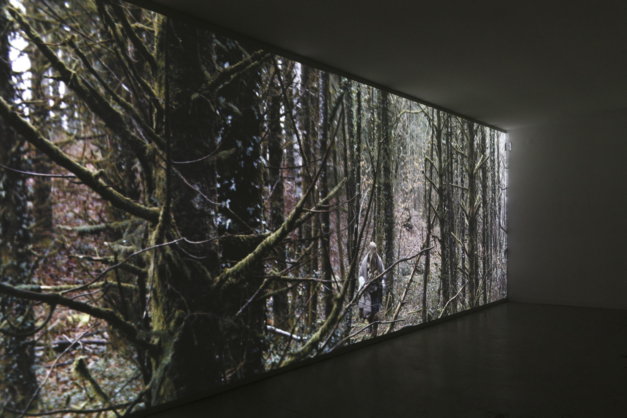 David Thorpe at Les Bains Douches, Alençon