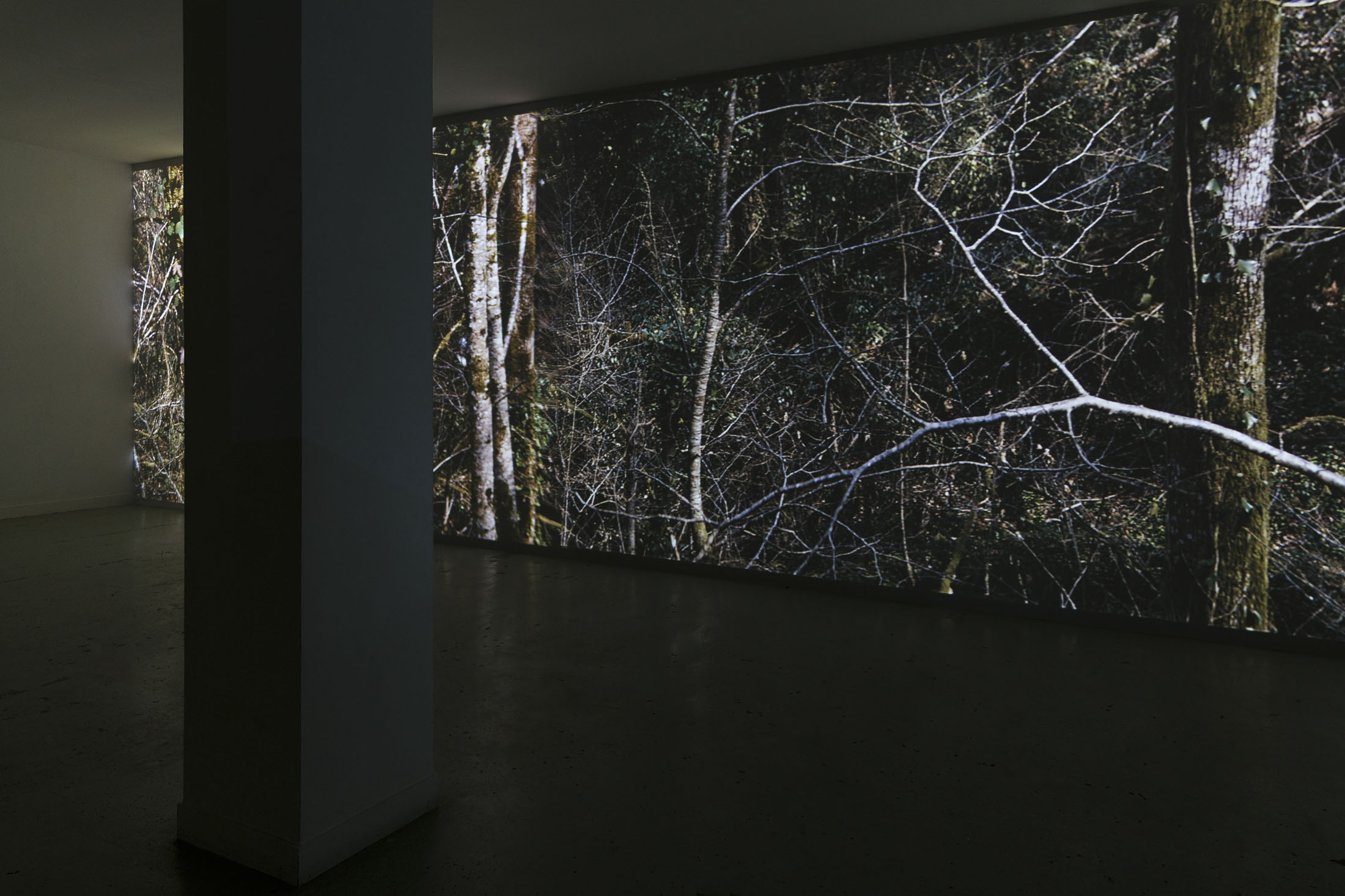 David Thorpe at Les Bains Douches, Alençon