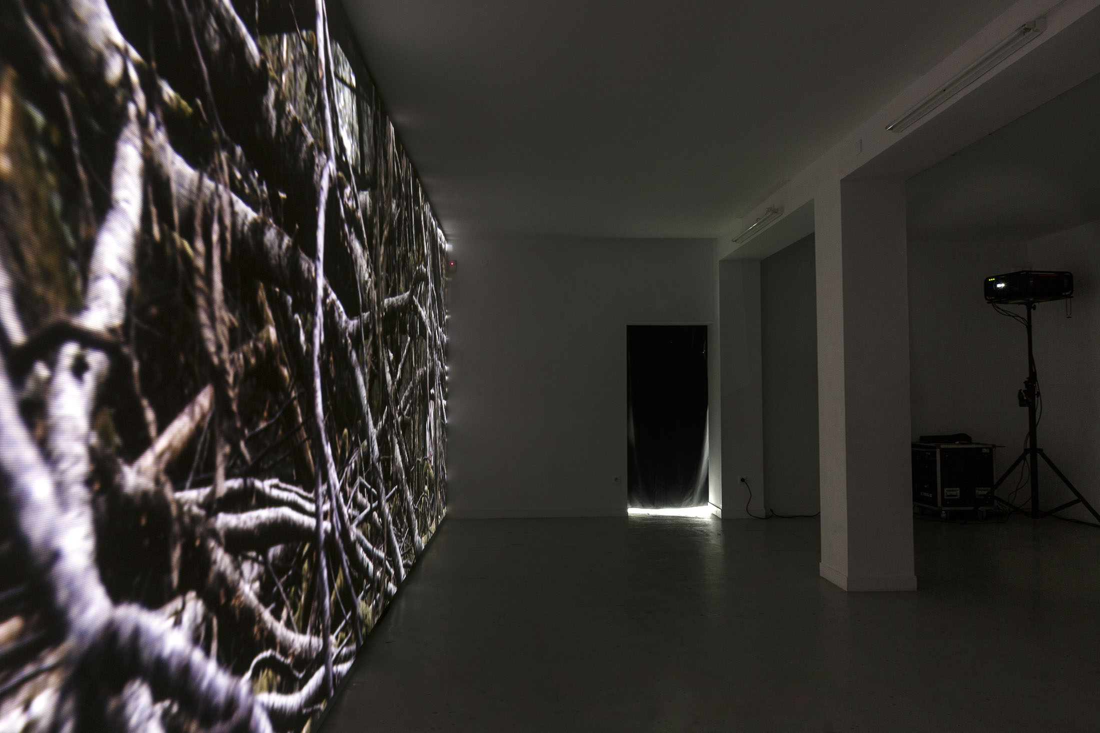 David Thorpe at Les Bains Douches, Alençon