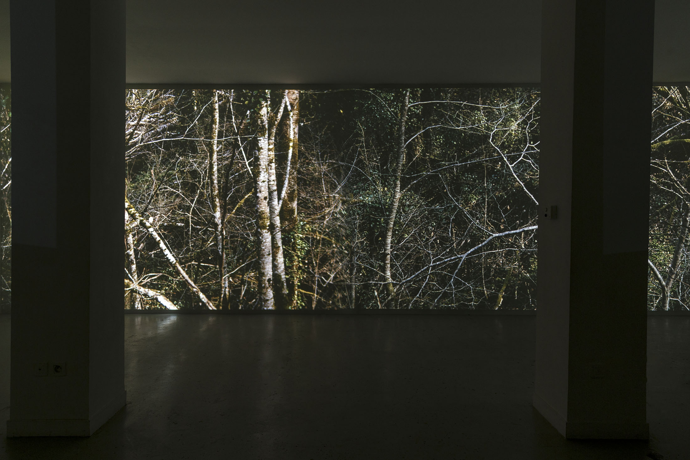 David Thorpe at Les Bains Douches, Alençon