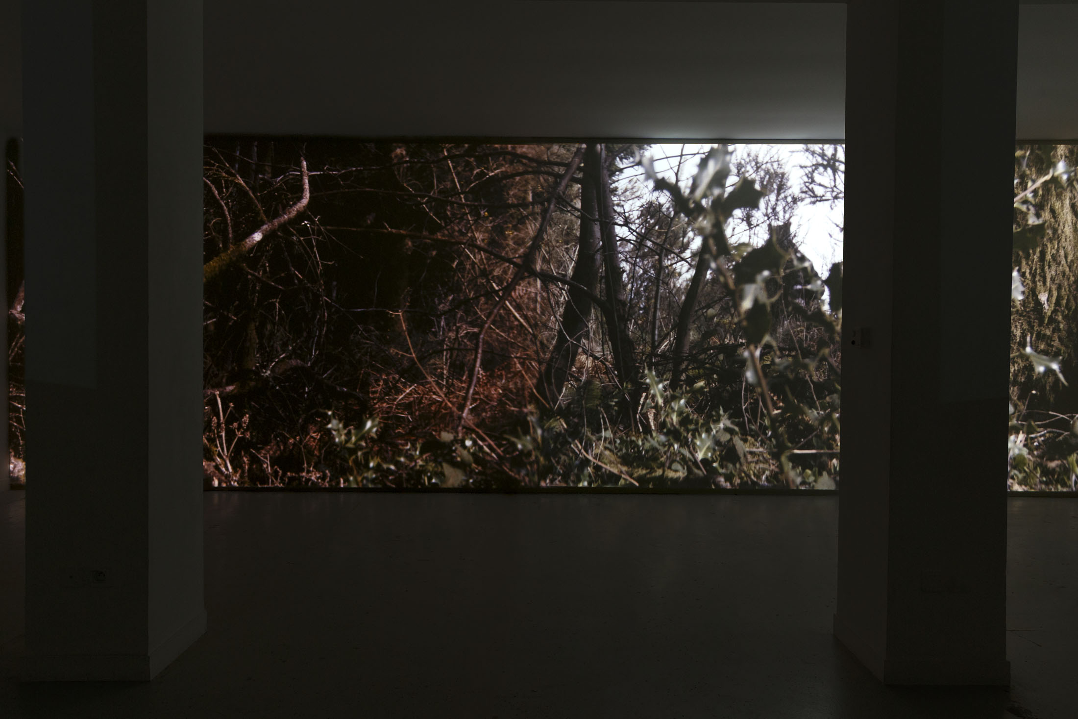 David Thorpe at Les Bains Douches, Alençon