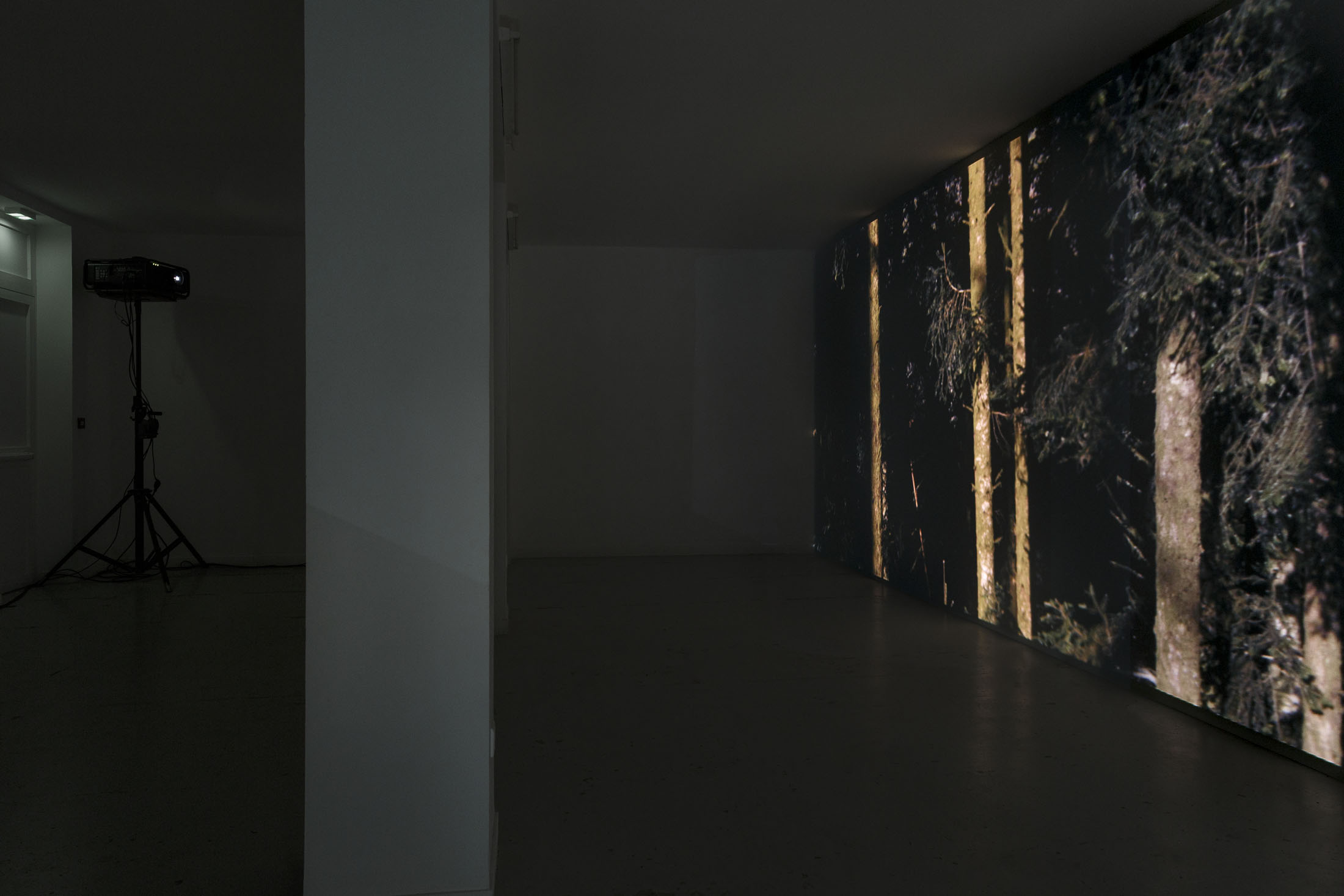 David Thorpe at Les Bains Douches, Alençon