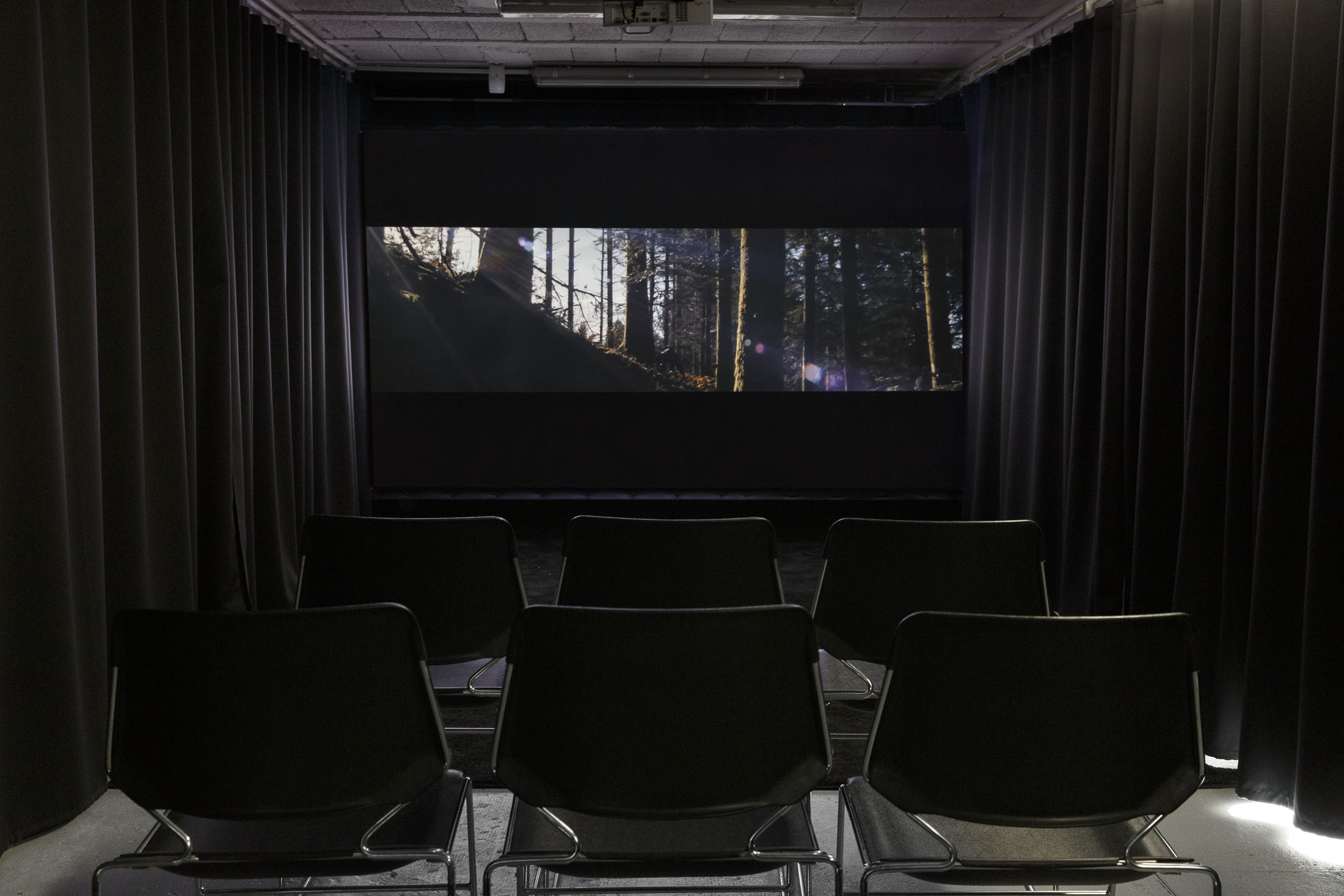 David Thorpe at Les Bains Douches, Alençon artwork