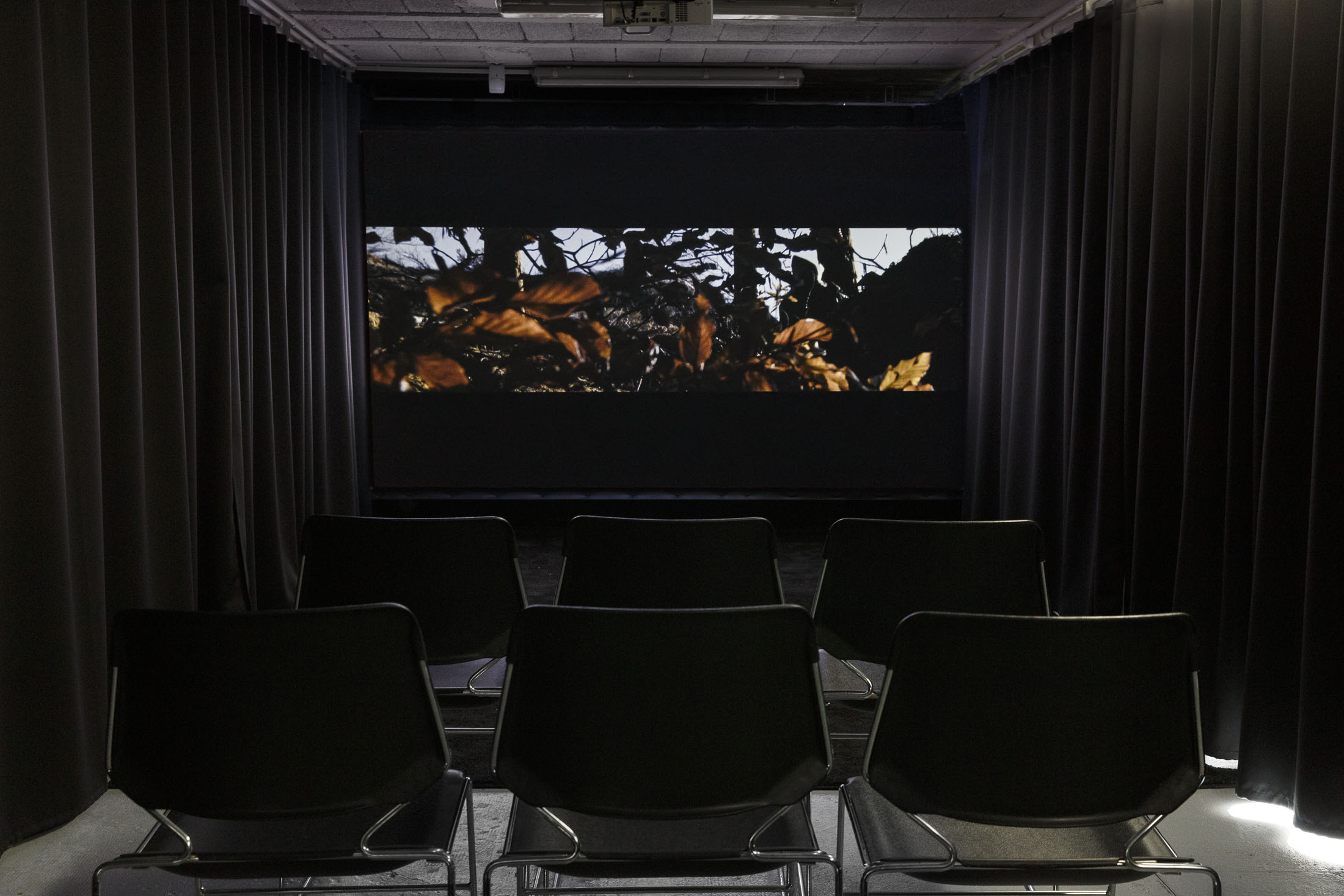 David Thorpe at Les Bains Douches, Alençon artwork