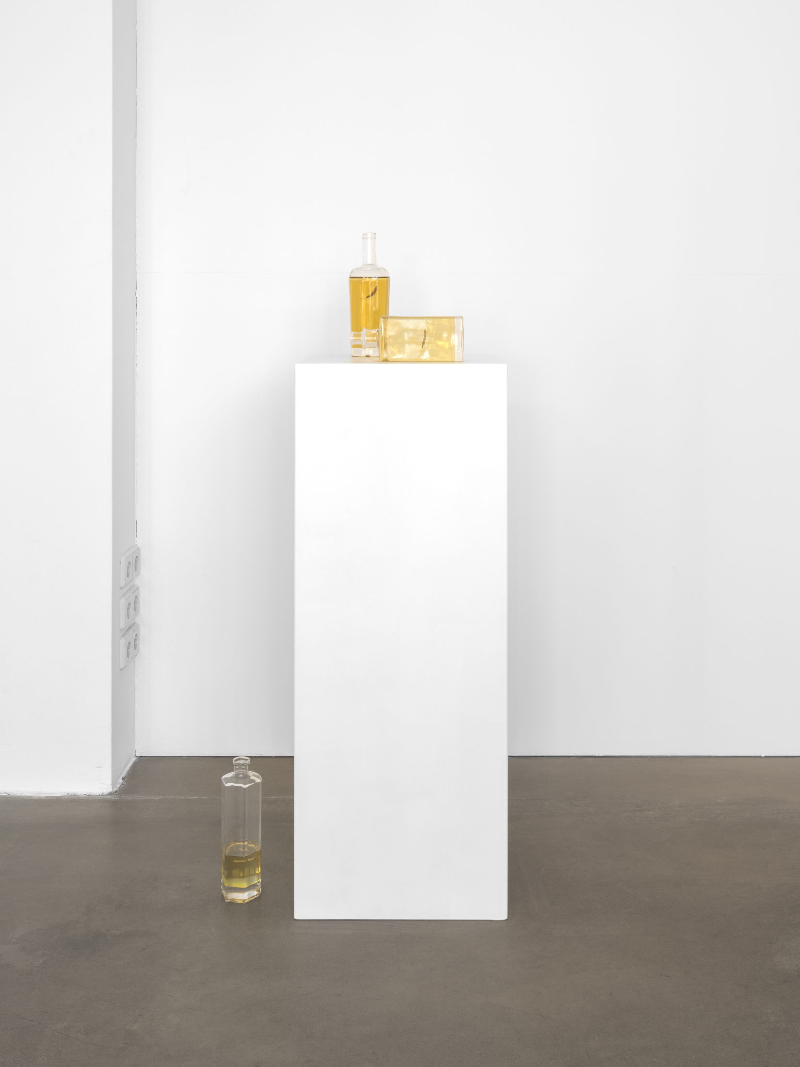 Jiyoon Chung at Anton Janizewski, Berlin