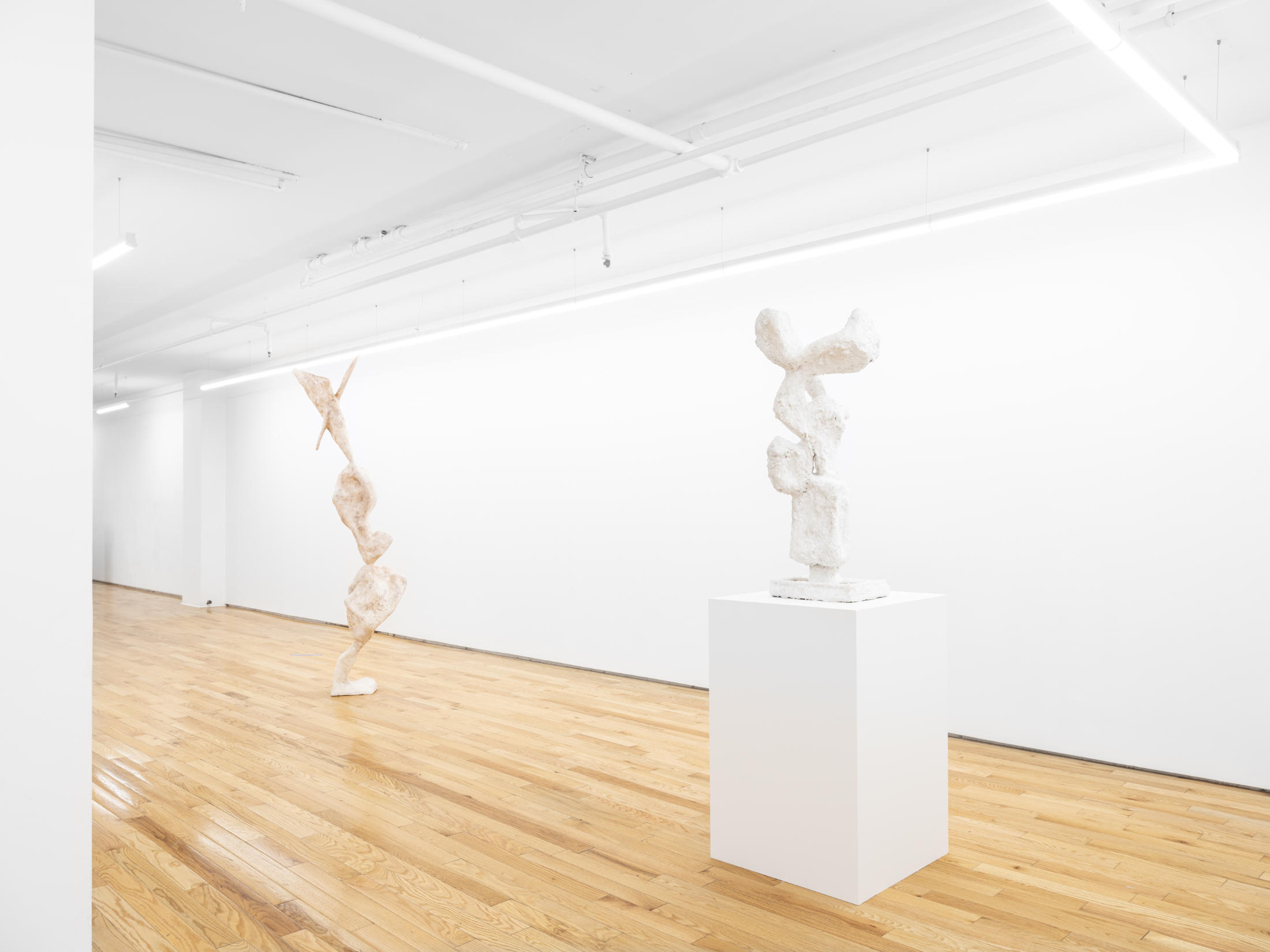 Nabilah Nordin at island, New York