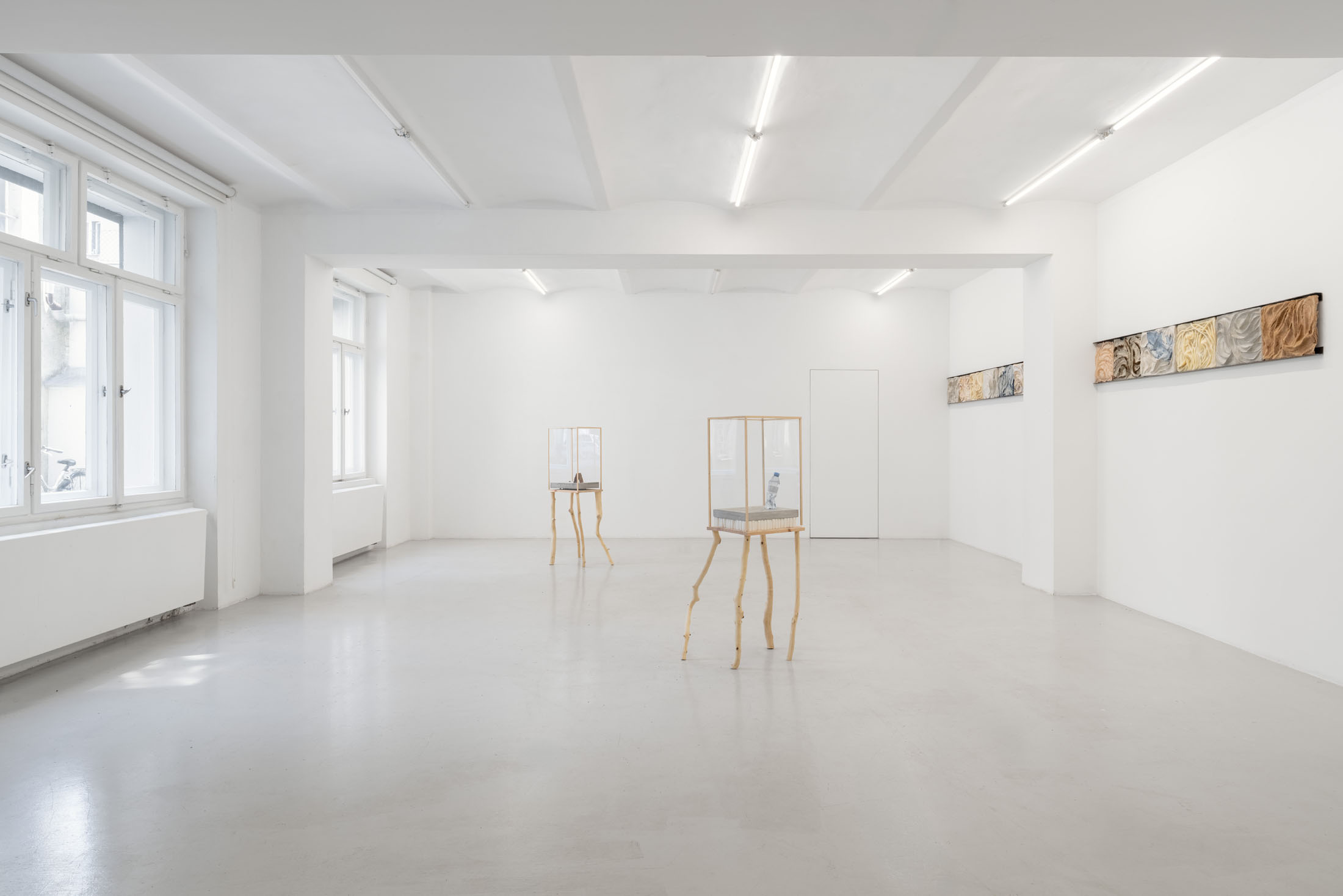 Agnieszka Topolska at Galeria Skala, Poznań
