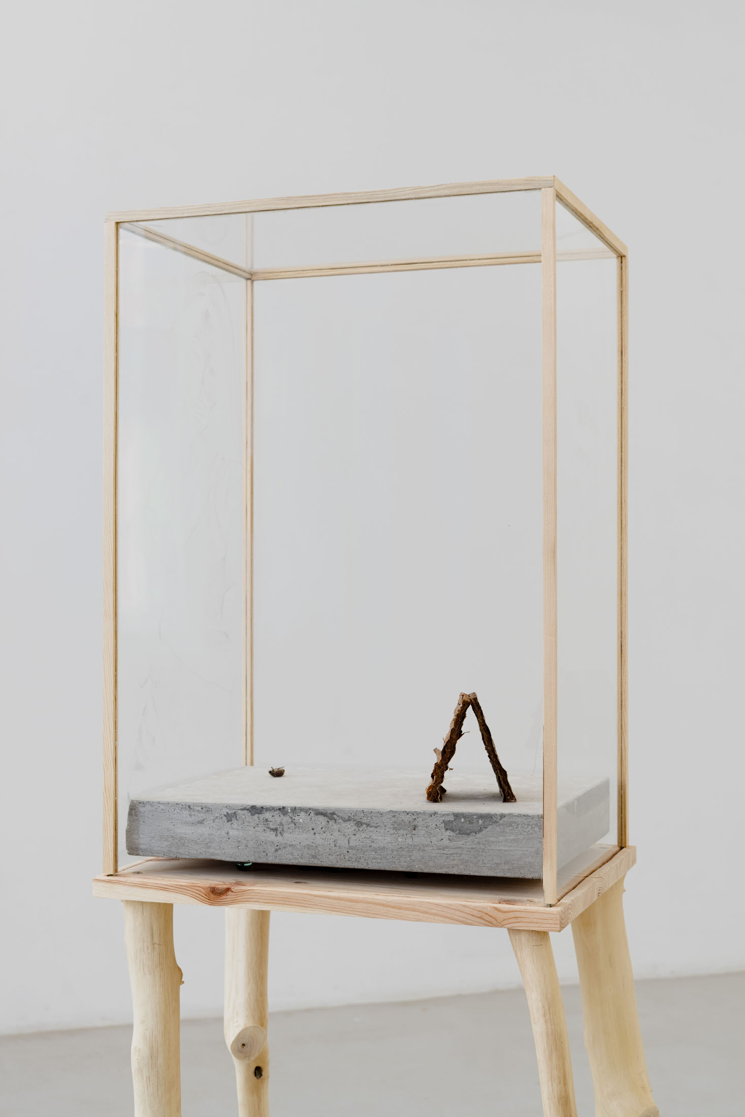 Agnieszka Topolska at Galeria Skala, Poznań