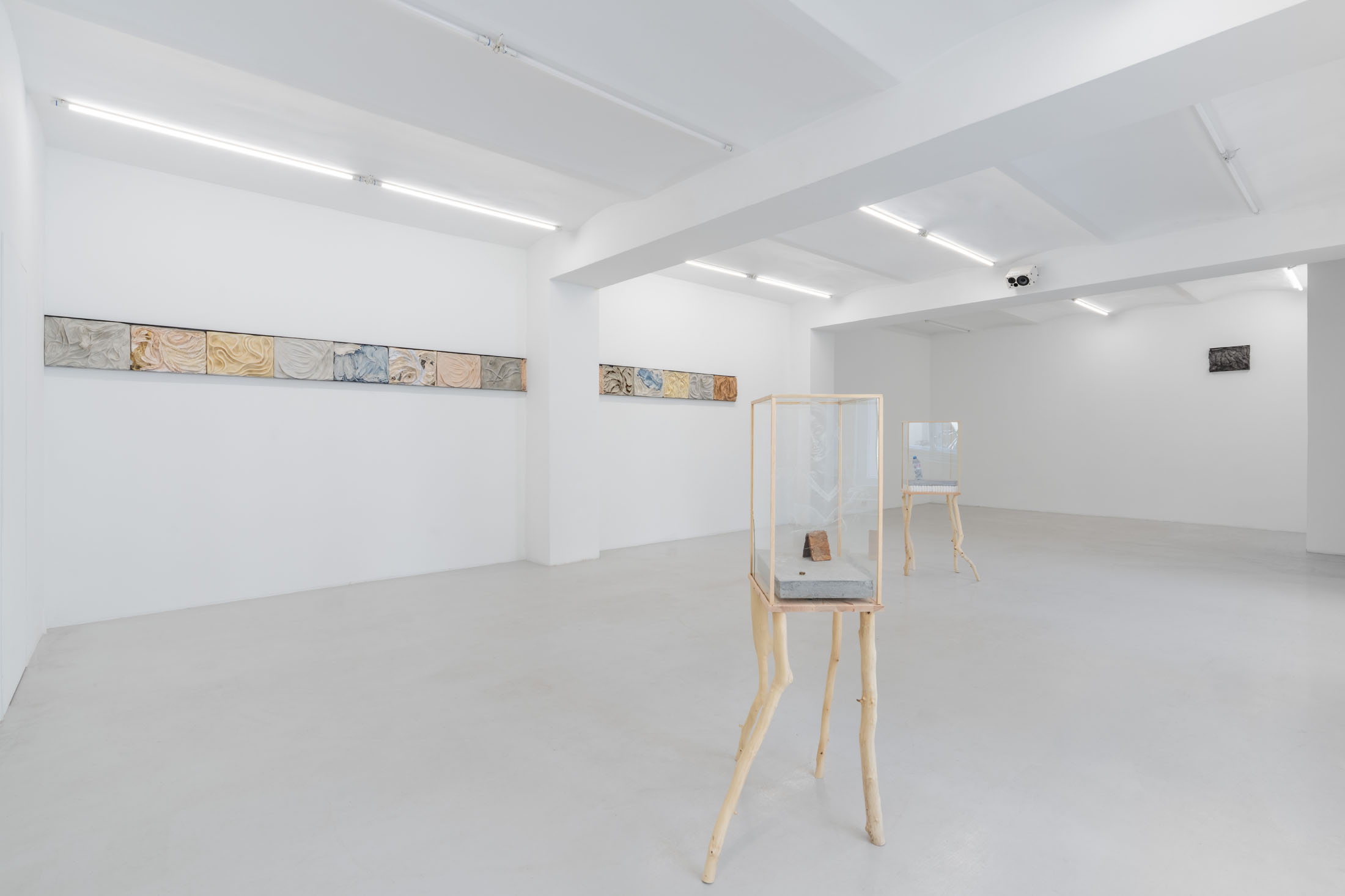 Agnieszka Topolska at Galeria Skala, Poznań