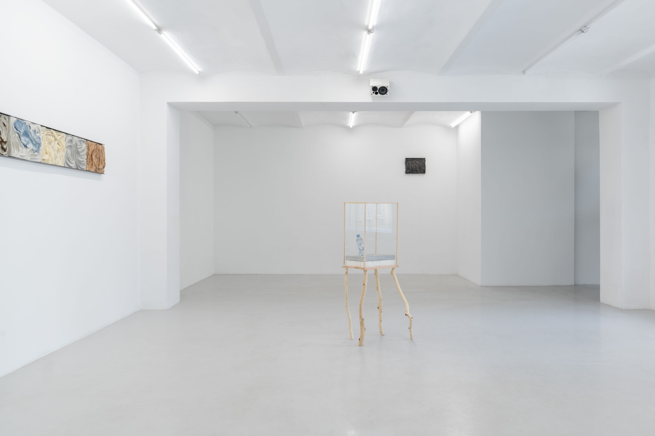Agnieszka Topolska at Galeria Skala, Poznań