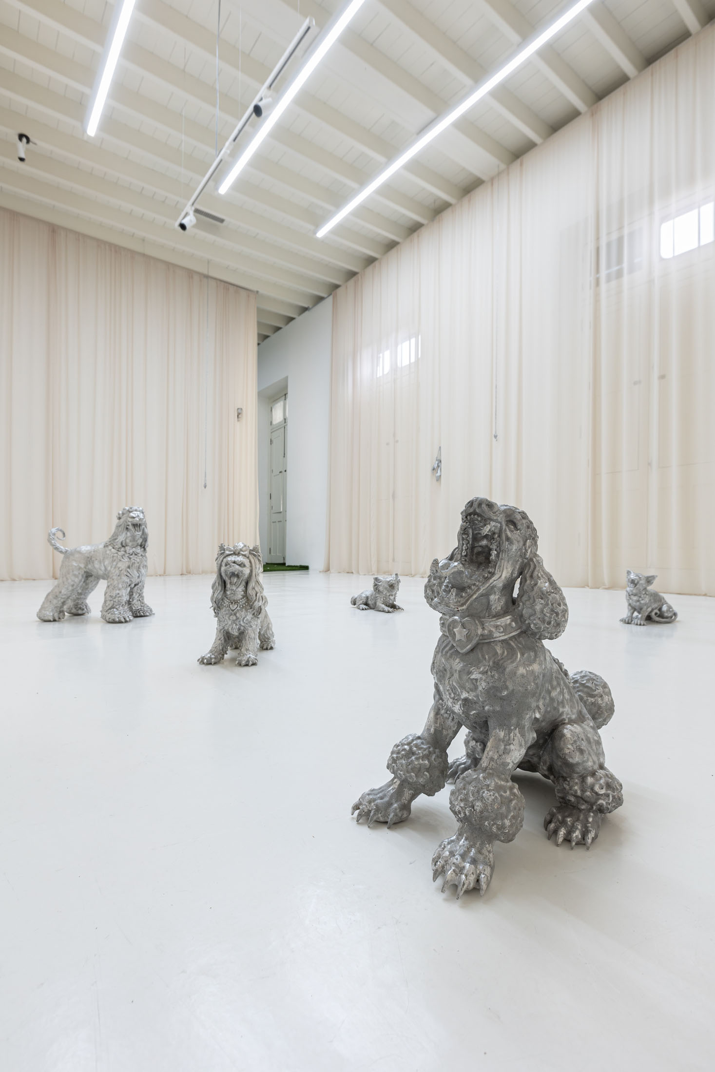 Andrea Ferrero at Galería Gato, Lima