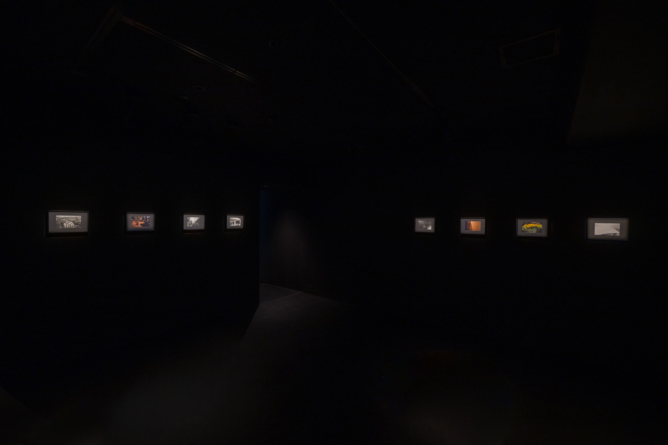 Ann Zhao at Empty Gallery, Hong Kong