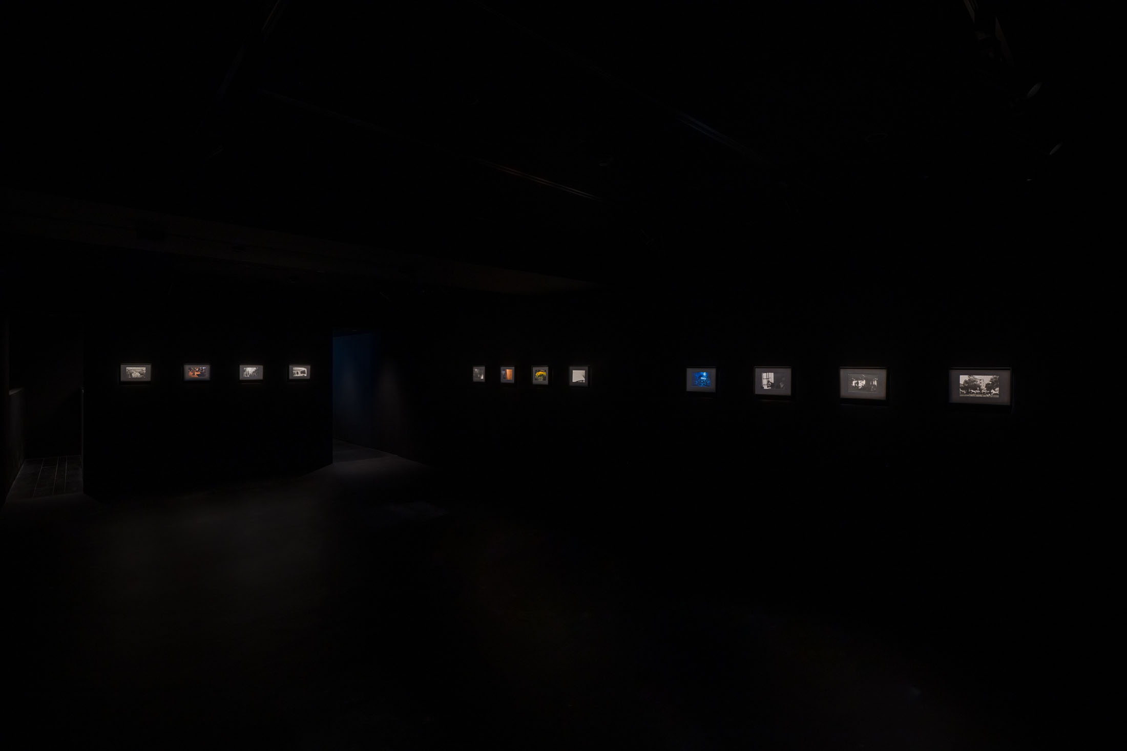 Ann Zhao at Empty Gallery, Hong Kong