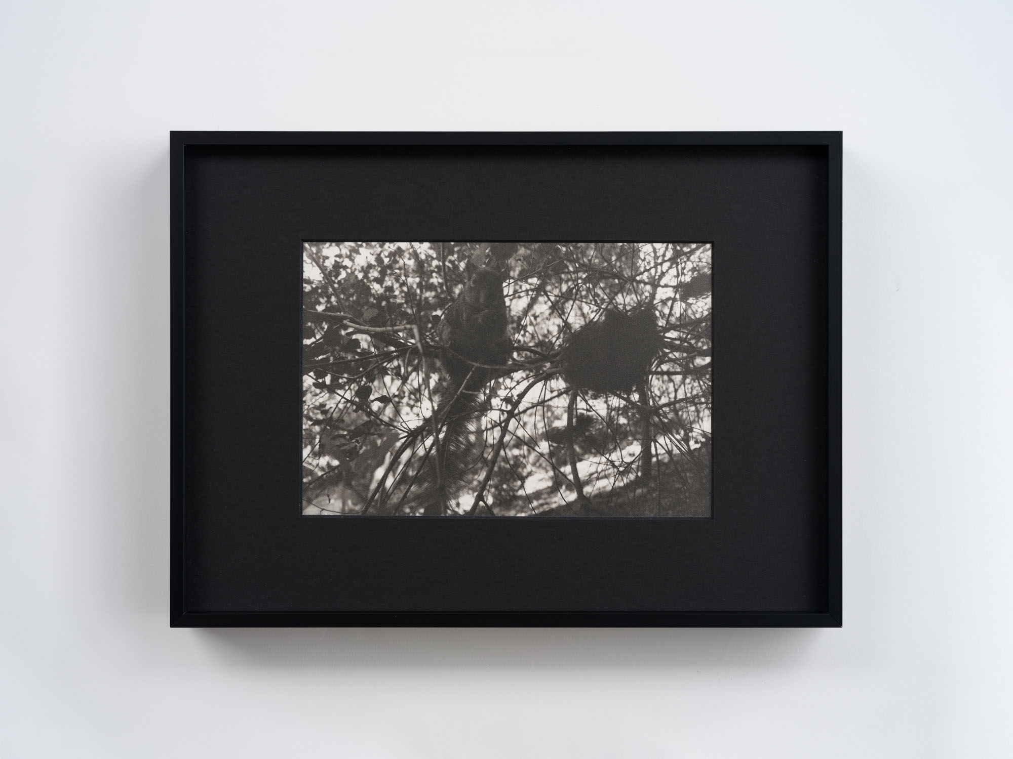 Ann Zhao at Empty Gallery, Hong Kong artwork