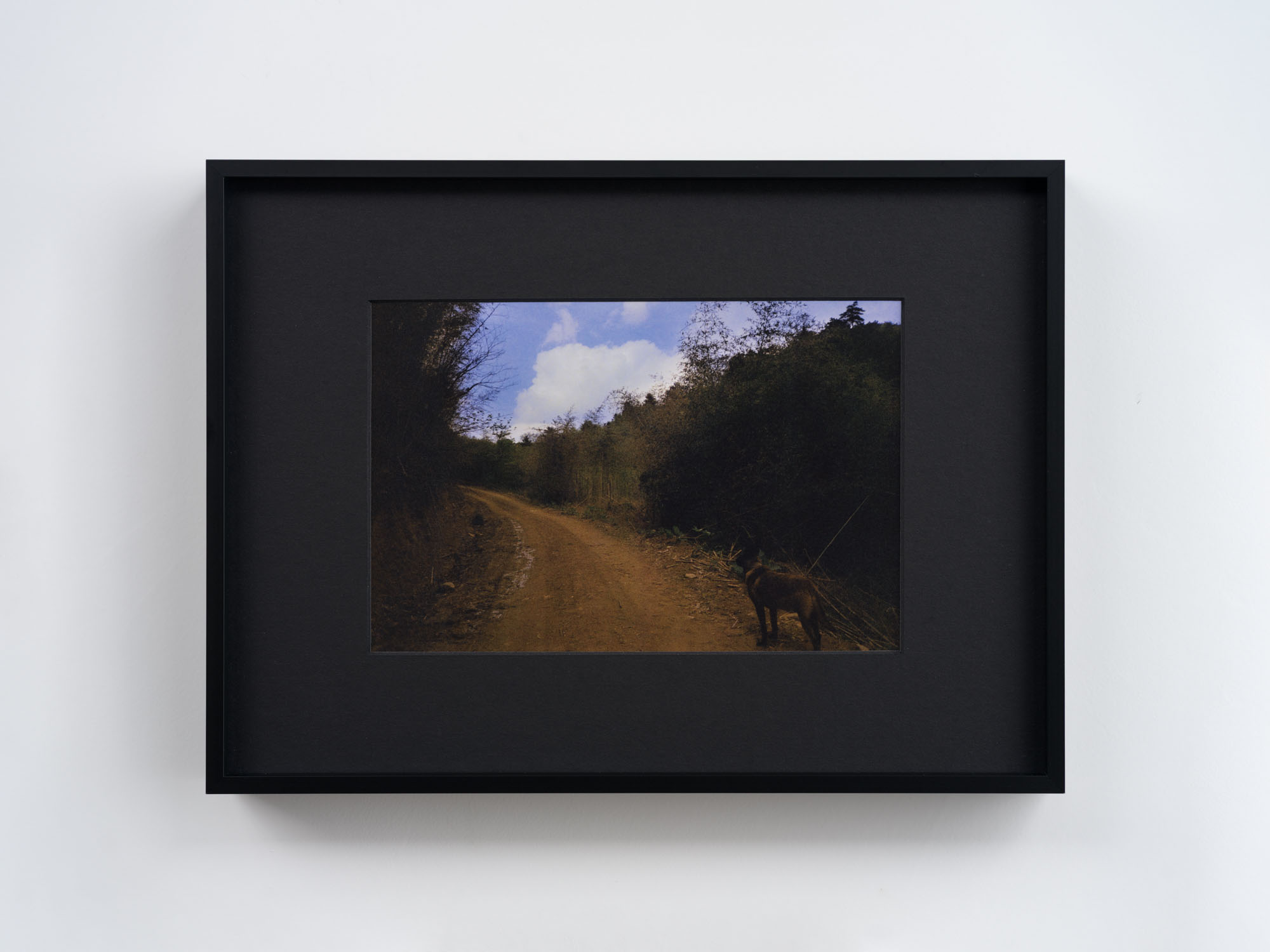 Ann Zhao at Empty Gallery, Hong Kong artwork