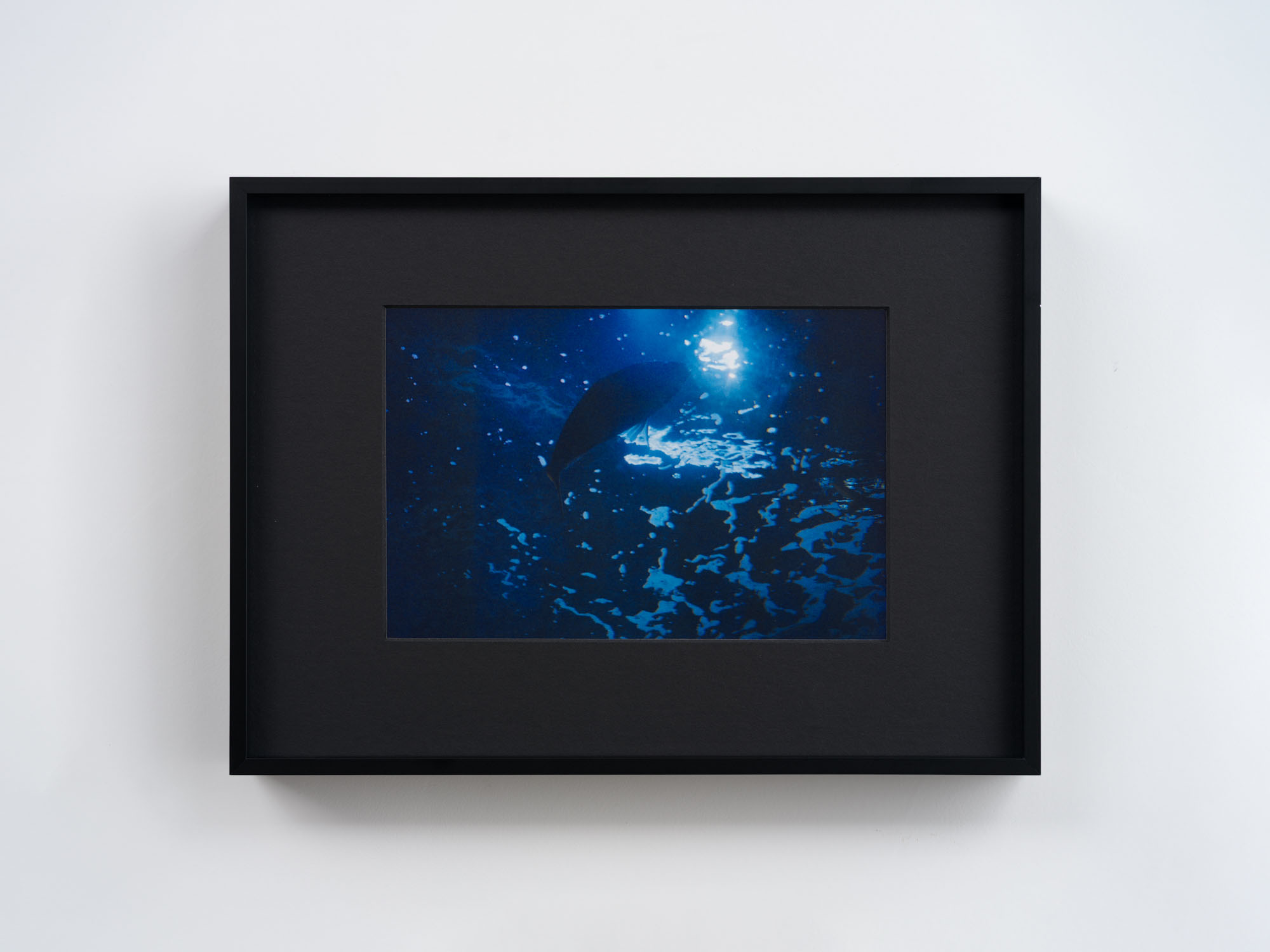 Ann Zhao at Empty Gallery, Hong Kong artwork