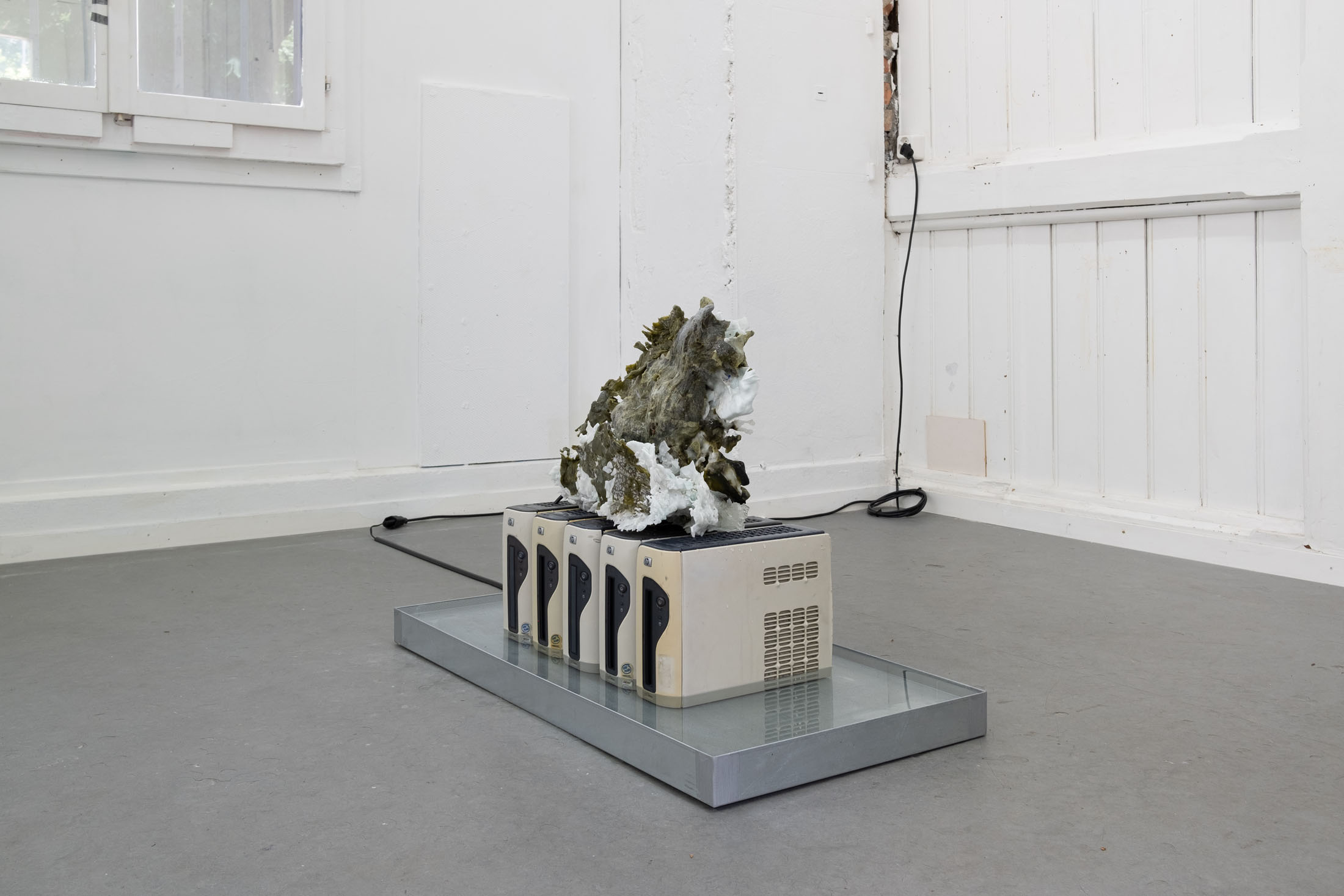 Antoine Félix Bürcher at Grand Palais, Bern