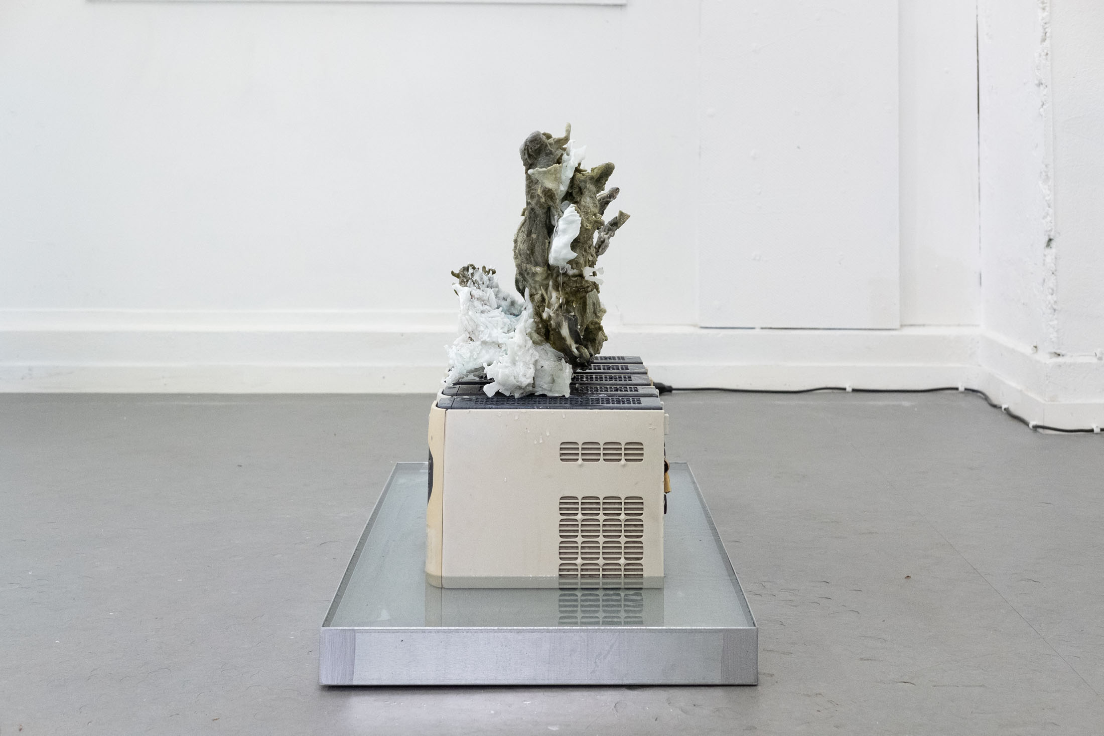 Antoine Félix Bürcher at Grand Palais, Bern