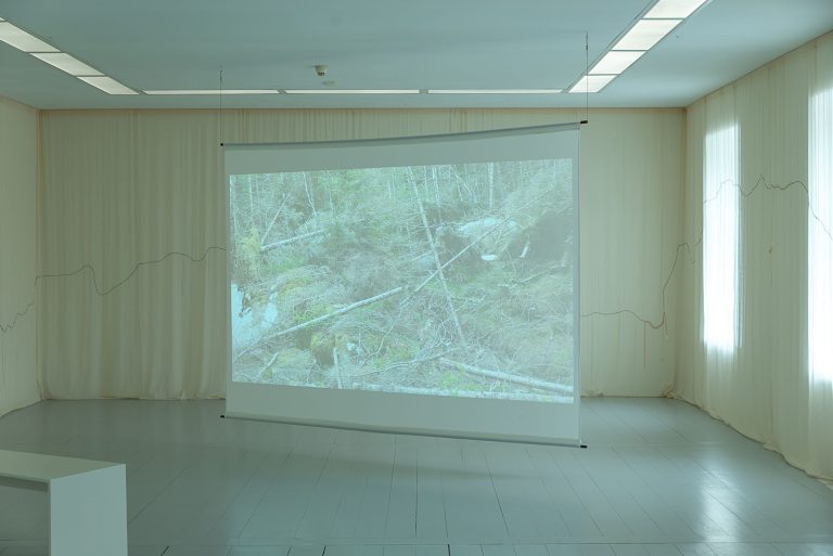 Ase Brunborg Lie at Hordaland Kunstsenter, Bergen