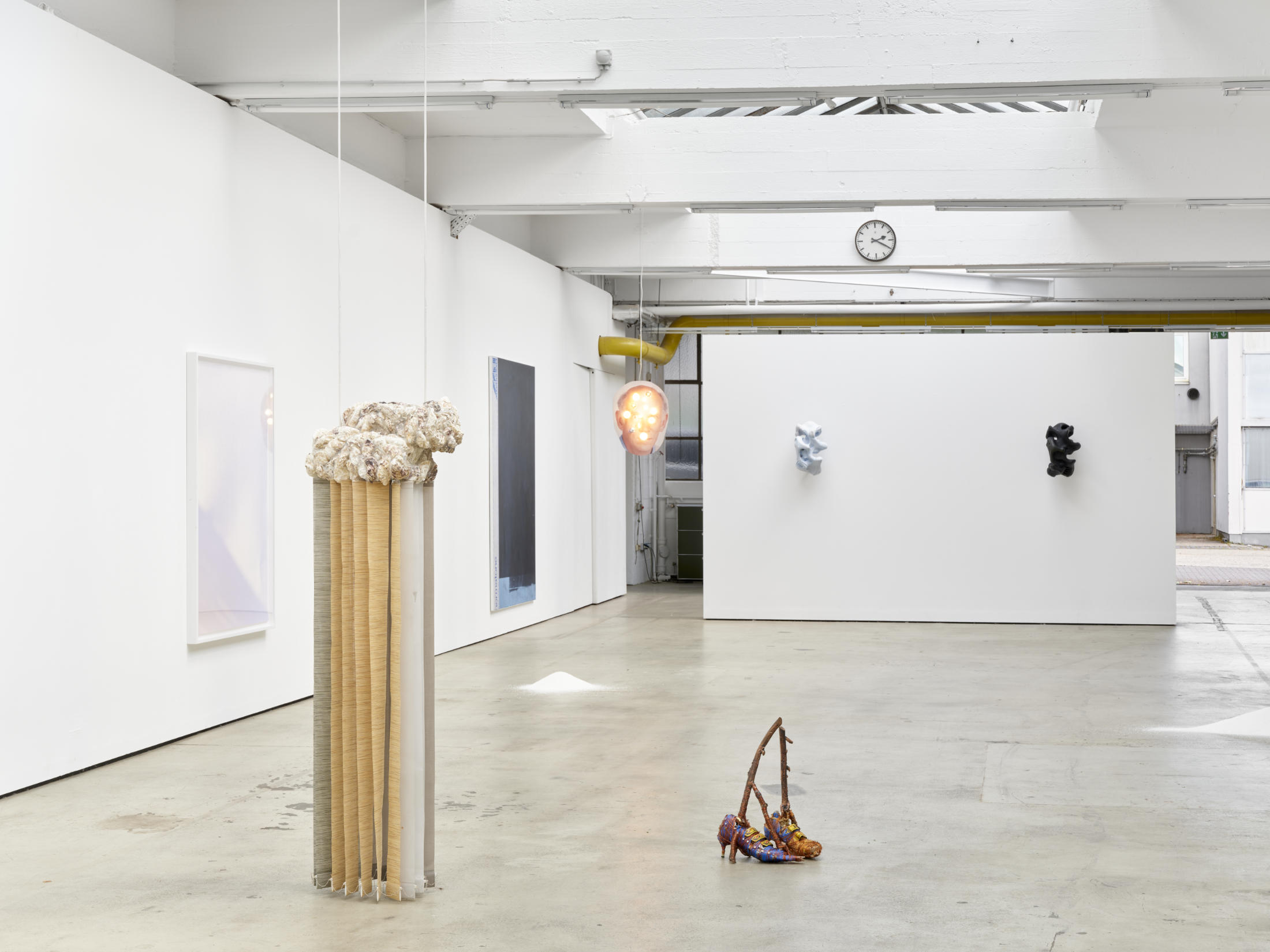 Free Space at Berthold Pott, Cologne