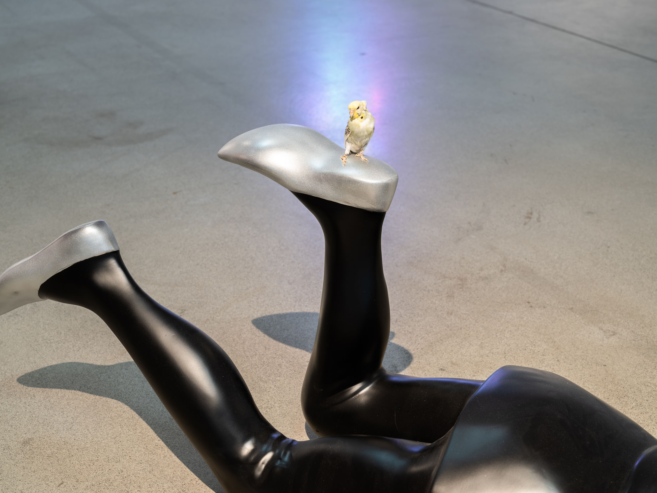 Julie Béna at Museum of Contemporary Art Zagreb